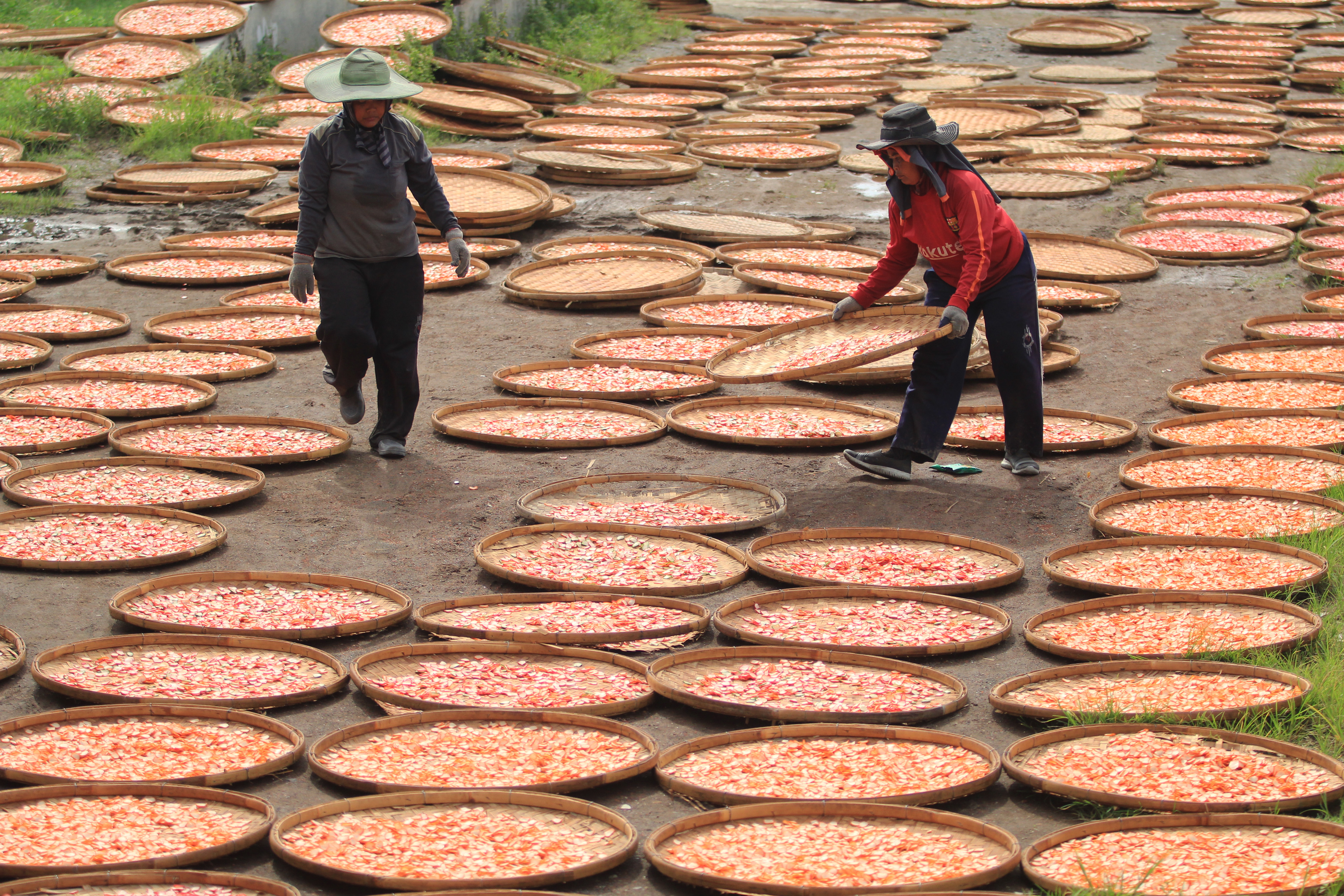 Bantuan Dana Desa Tahan Laju Kemiskinan