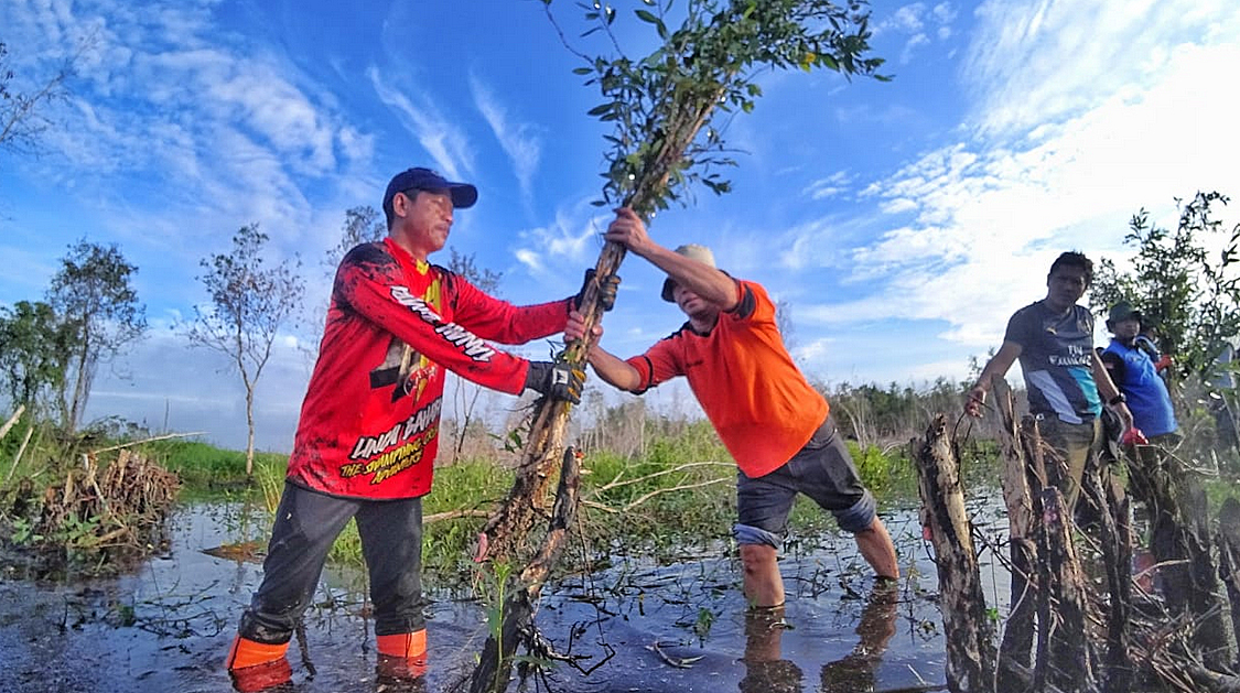 Puluhan Ribu Hektar Kawasan Mangrove di Kalsel Rusak