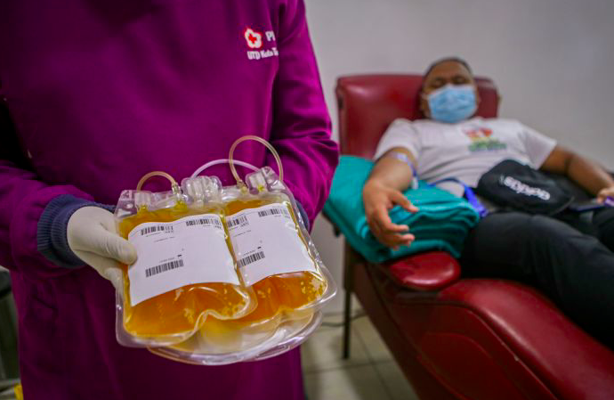 Donor Plasma Konvalesen, Membantu Pengobatan Penderita Covid-19