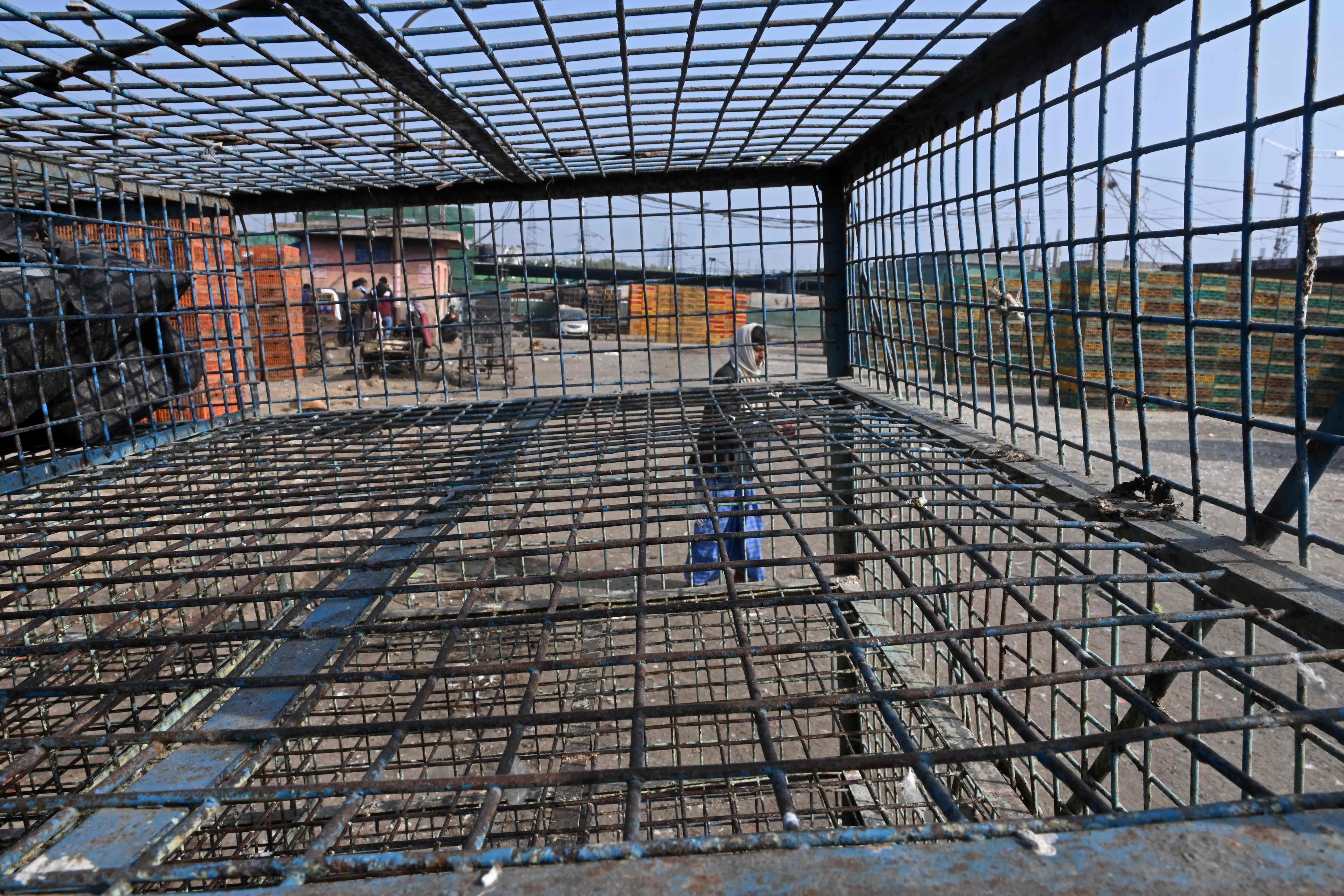 Tujuh pekerja di sebuah peternakan unggas di Rusia selatan, terjangkit flu burung H5N8.  