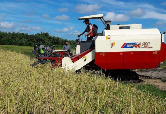 Panen padi masih stabil dilakukan disentra padi di sejumlah daerah selama pandemi covid-19.
