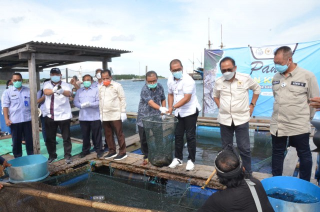 Anggota Komisi IV DPR RI A.A. Bagus Adhi Mahendra Putra (tiga dari kanan) beserta jajaran meninjau lokasi budidaya Ikan Kerapu di Bali.