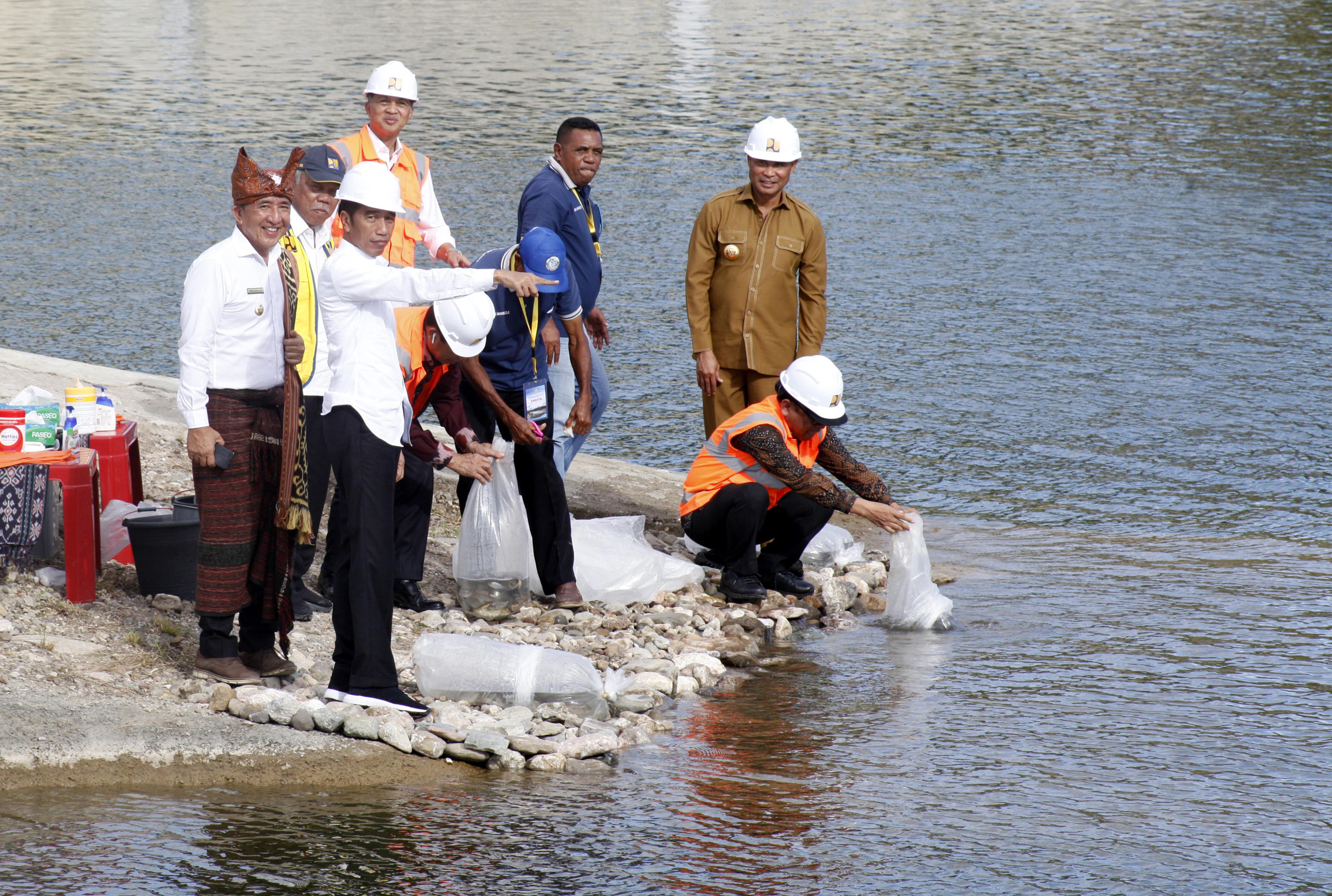 Presiden Joko Widodo menebar benih ikan pada peresmian Bendungan Rotiklot di Belu, Atambua, NTT, Senin (20/5/2019).