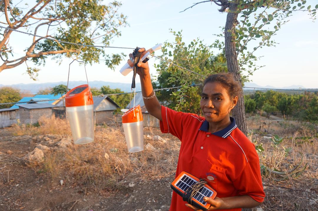 The Zayed Sustainability Prize