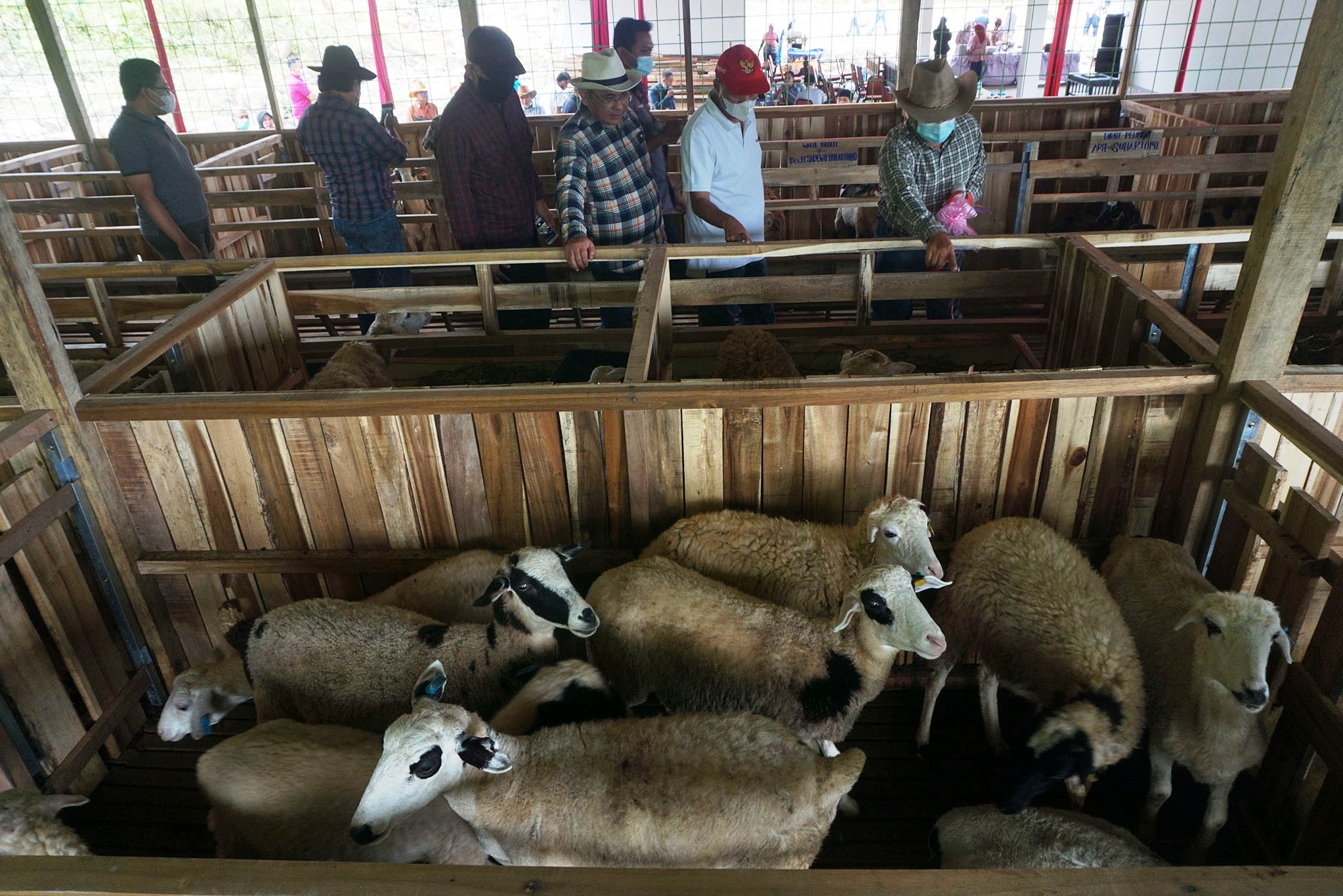 Sejumlah pejabat menengok kandang domba yang berada di perbukitan di perbatasan antara Desa Karangtengah dan Desa Tumiyang.