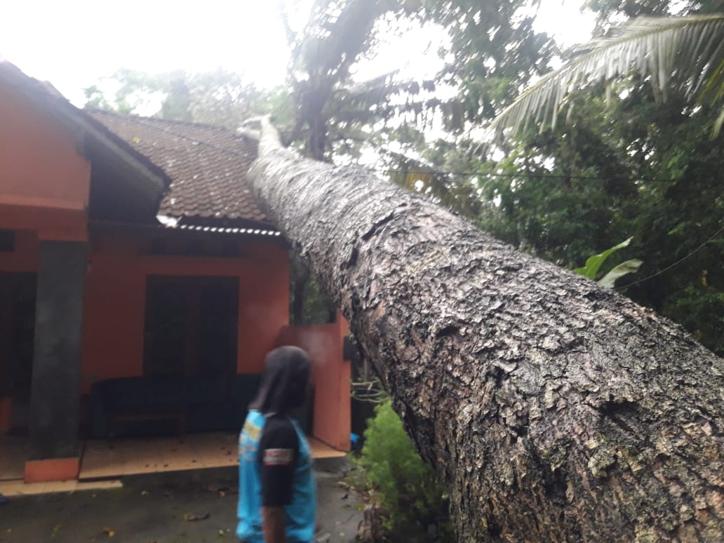 Hujan Disertai Angin Kencang Hingga Es Terjadi di Sleman