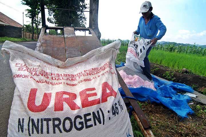 Ilustrasi urea bersubsidi.