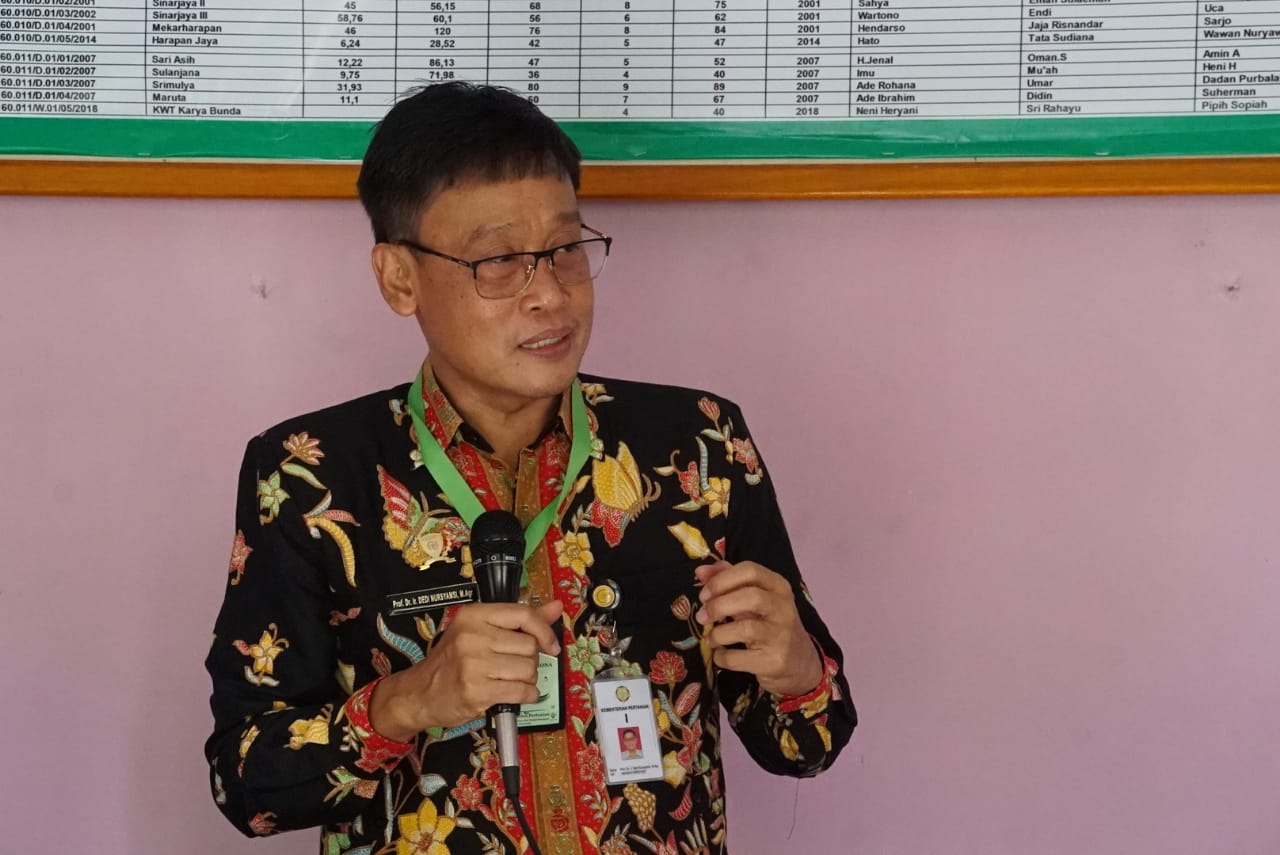 Kepala Badan Penyuluhan dan Pengembangan Sumber Daya Manusia Pertanian (BPPSDMP) Kementan, Dedi Nursyamsi. 