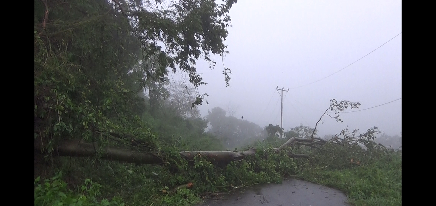 BPBD Flores Timur Ingatkan Cuaca Buruk 