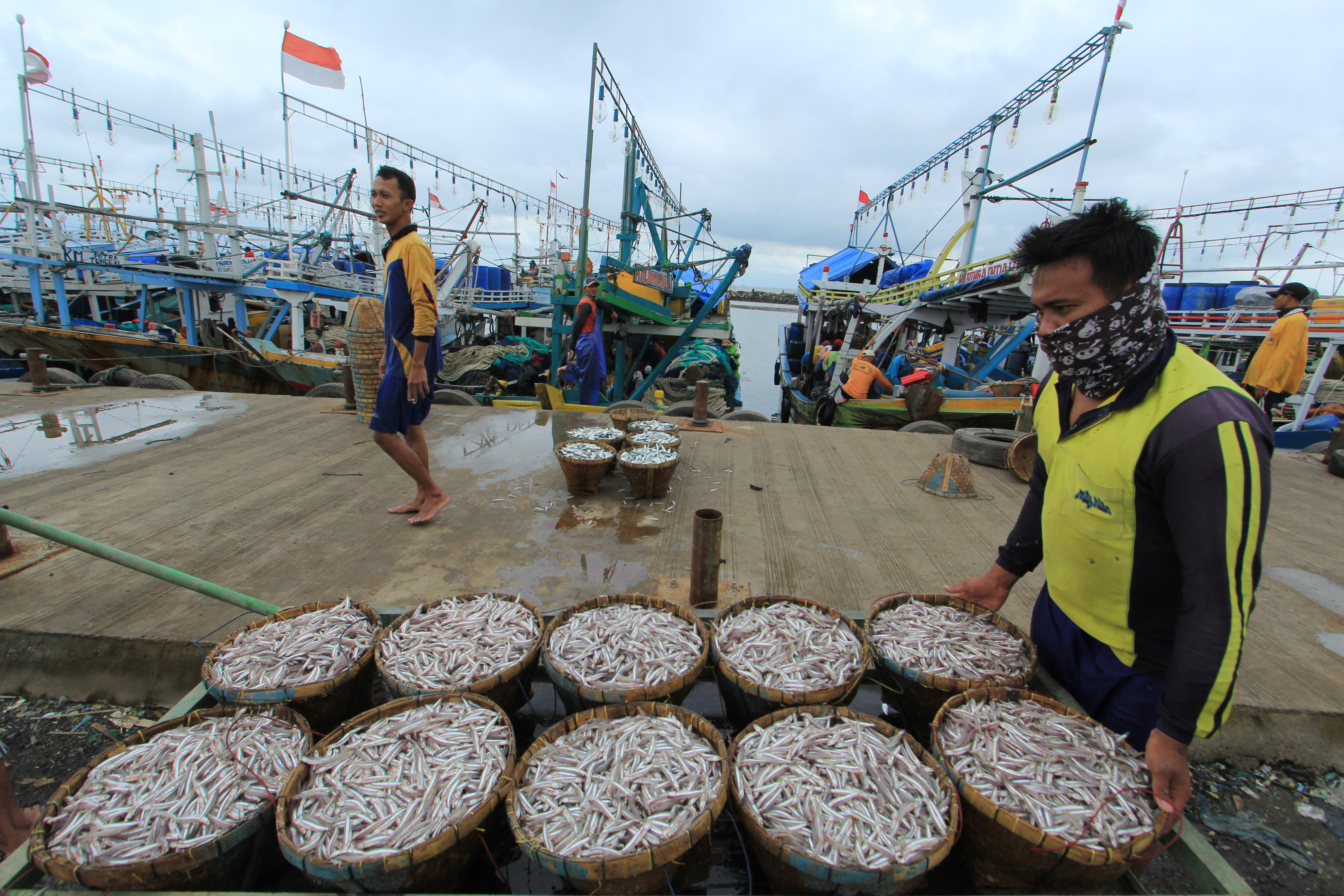 Nelayan mengumpulkan ikan teri hasil tangkapan sebelum proses lelang di pelabuhan Dadap, Juntinyuat, Indramayu
