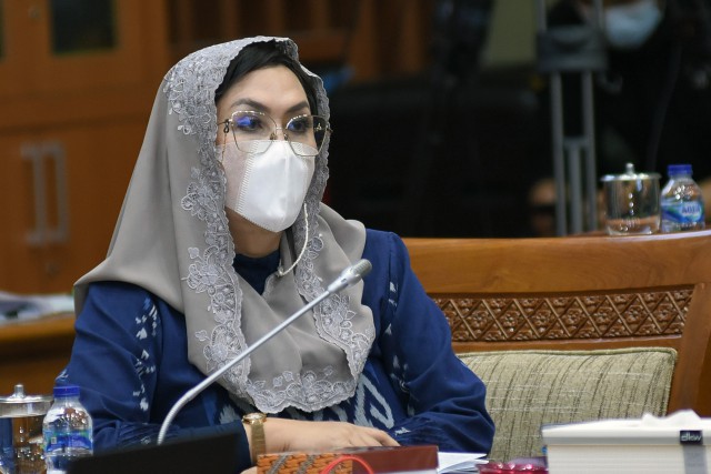 Anggota Komisi IX DPR RI Elva Hartati.