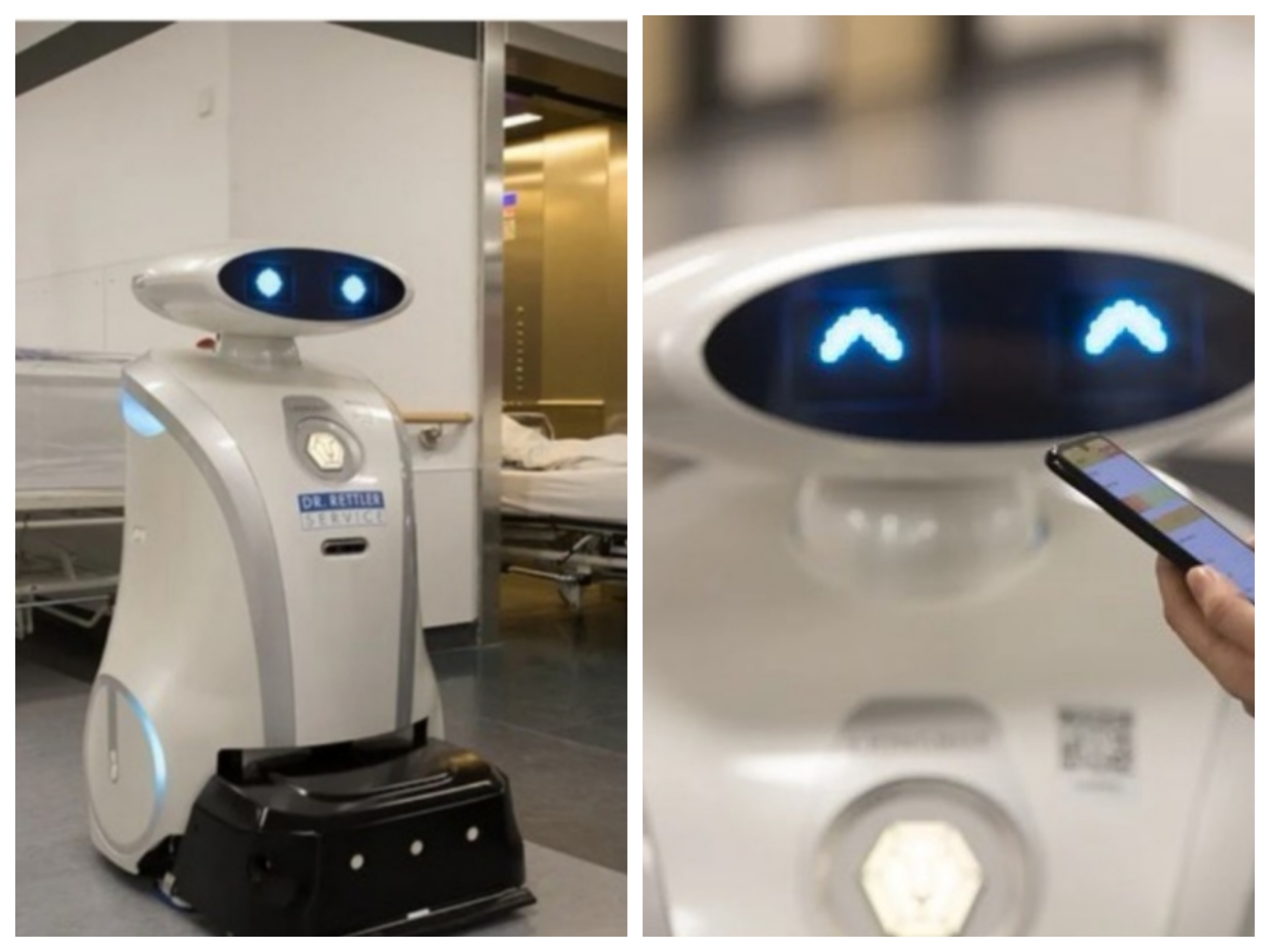 Robot pembersih Lionsbot