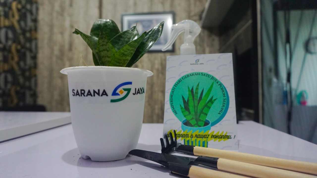 Tanaman Lidah Mertua yang dibagikan Perumda Sarana Jaya