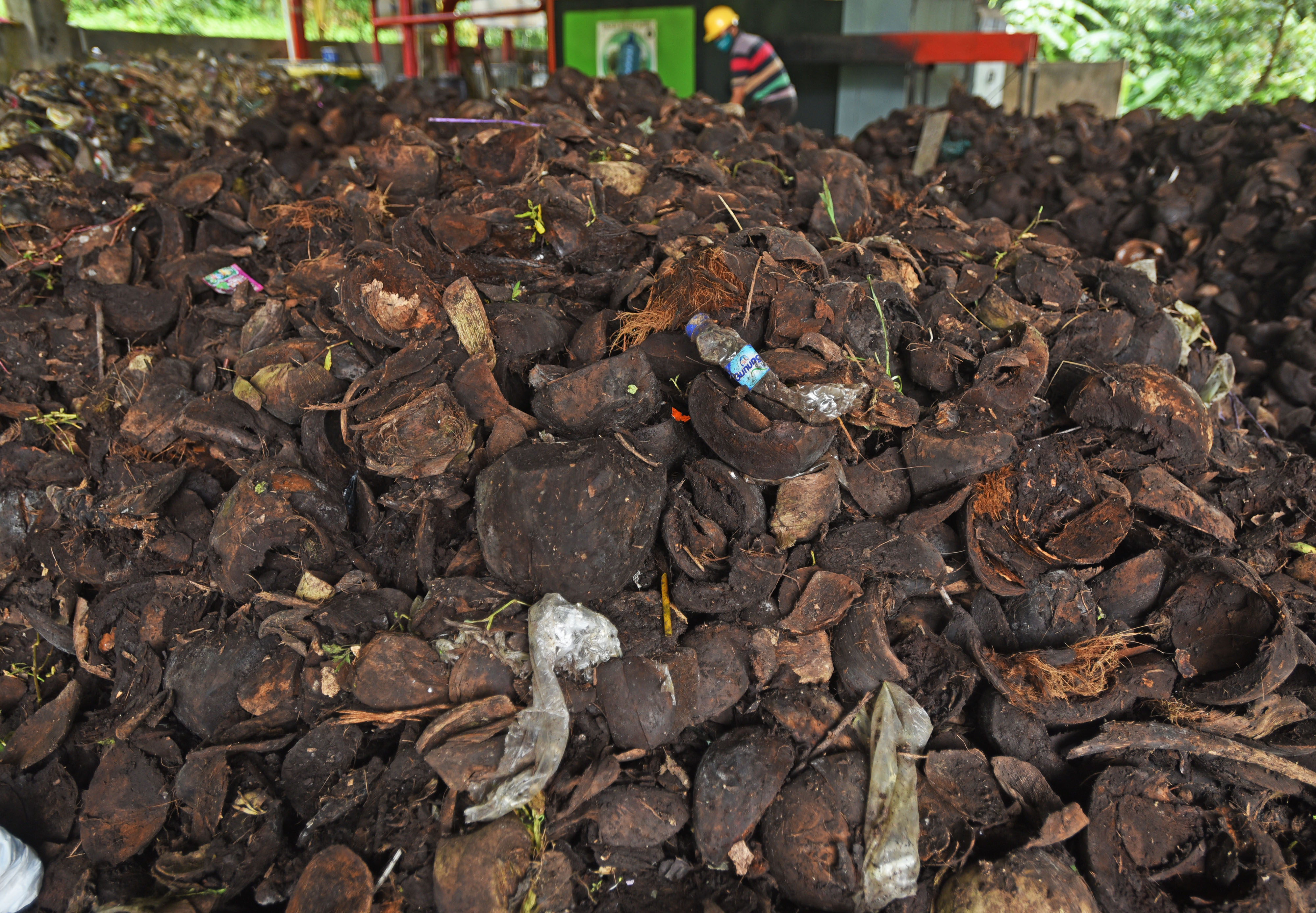 Pekerja sedang memilah sampah organik untuk dijadikan pupuk kompos.