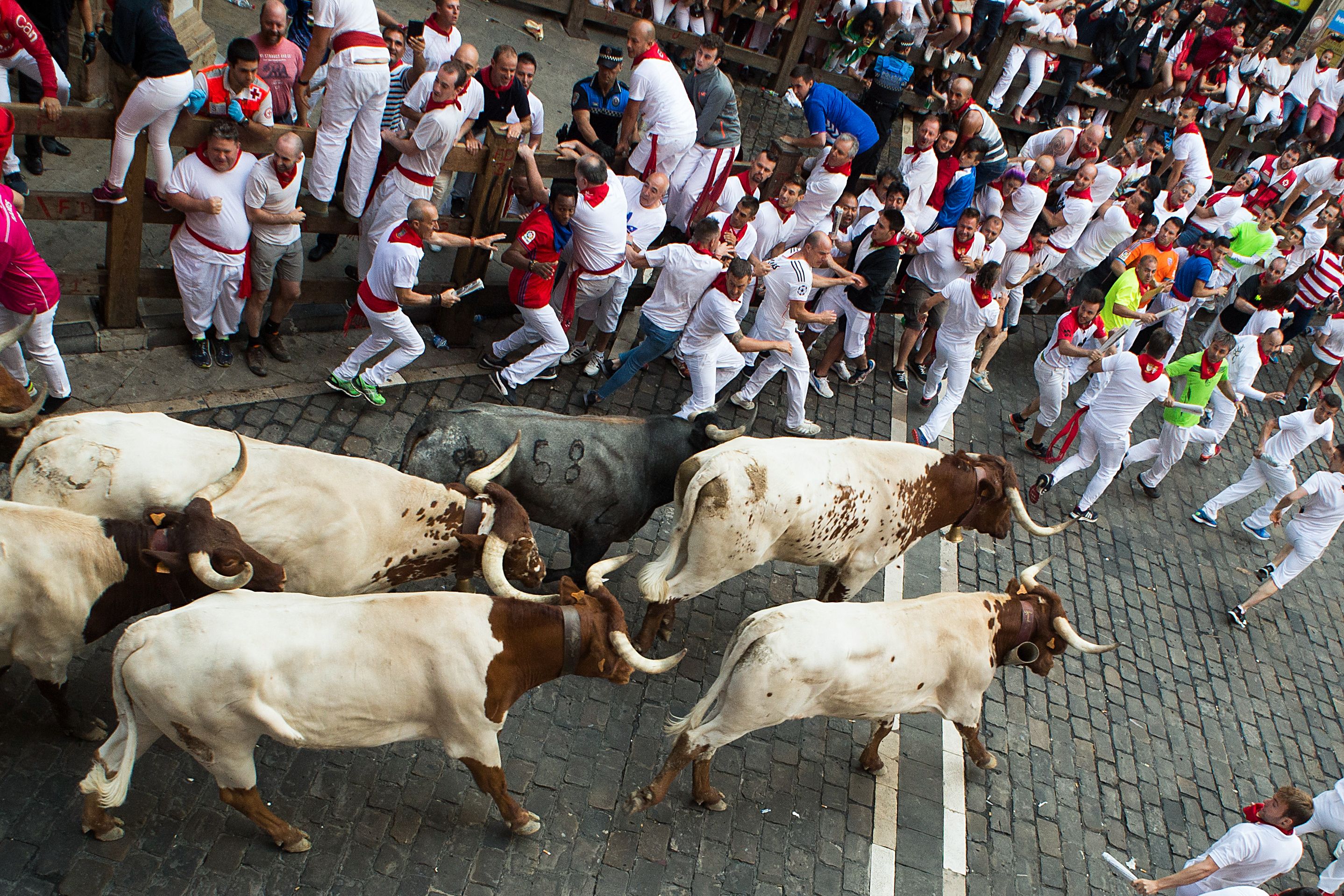 Festival Lari Banteng di Spanyol tahun ini Kembali Terancam Batal