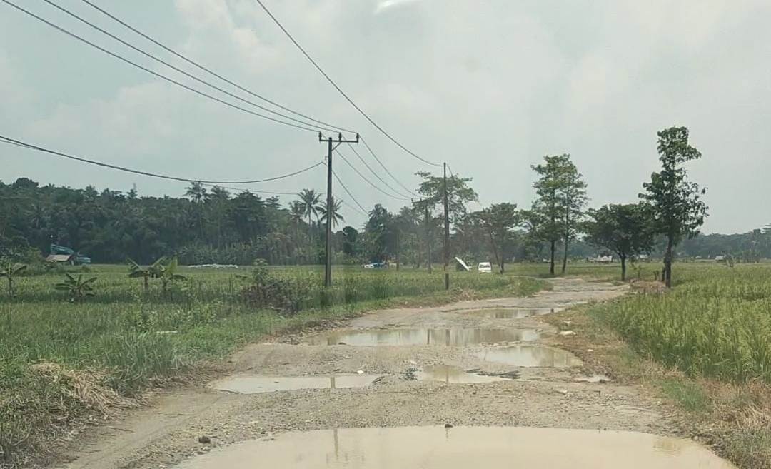 Kondisi jalan menuju TNUK