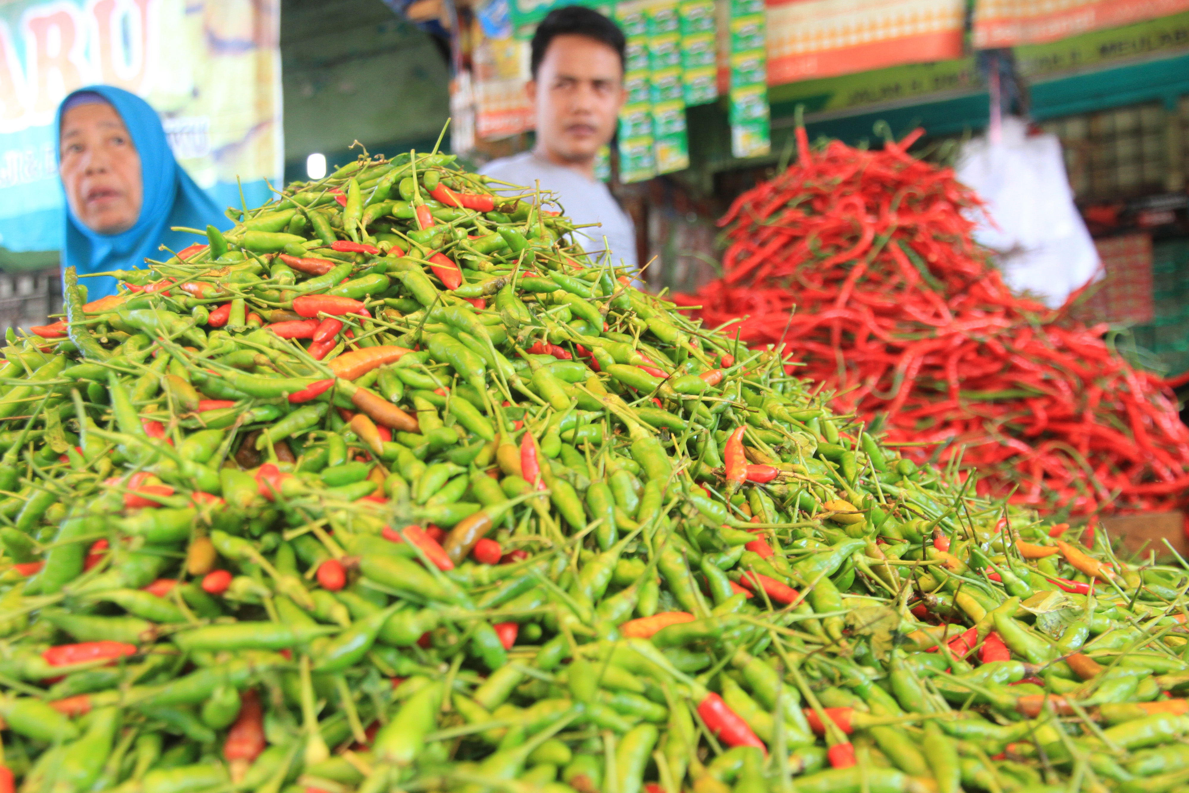 Harga Cabai Rawit Tembus Rp70 Ribu per kg di Pidie 