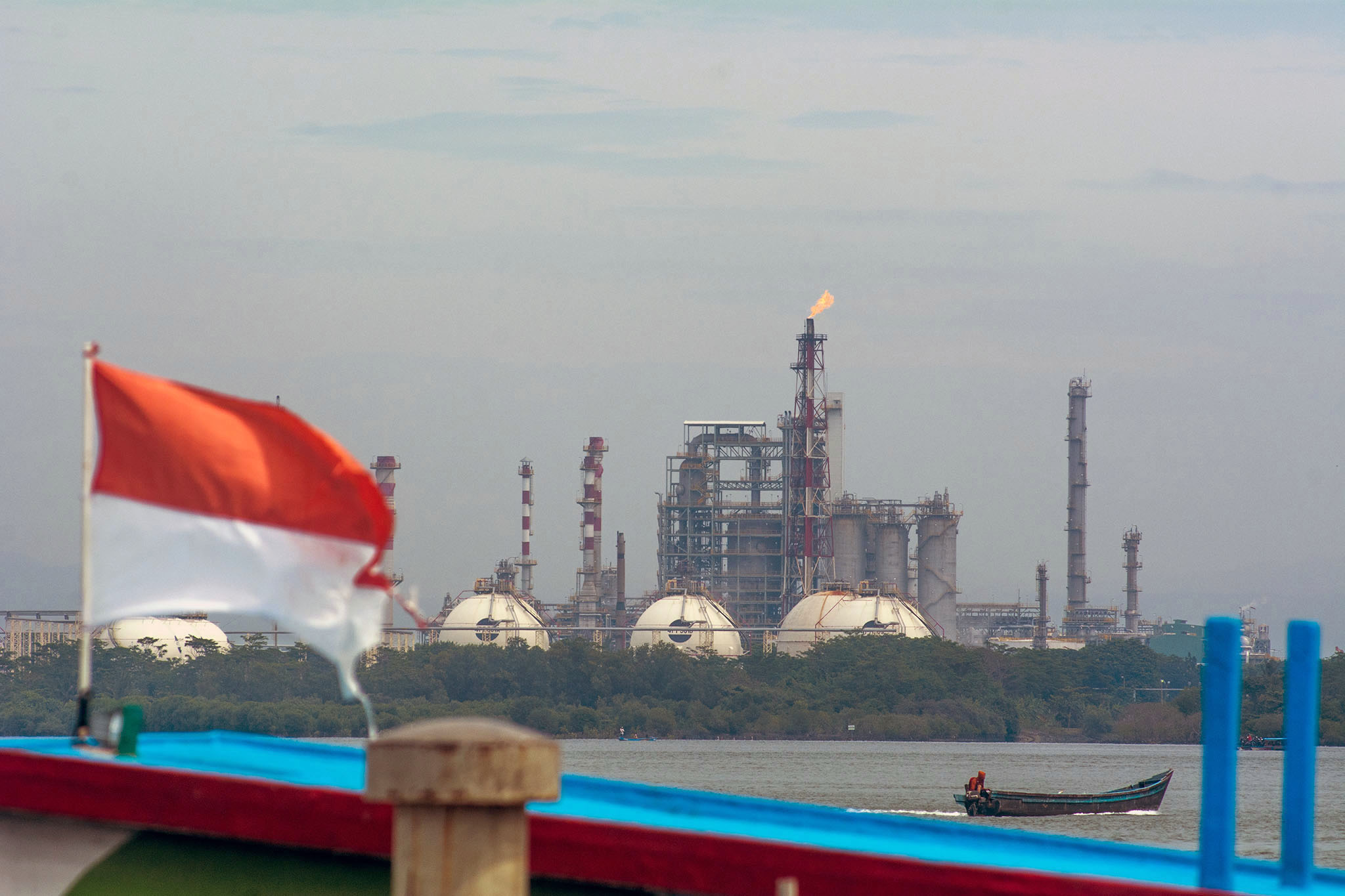 IEA Dukung RI Percepat Transisi Energi