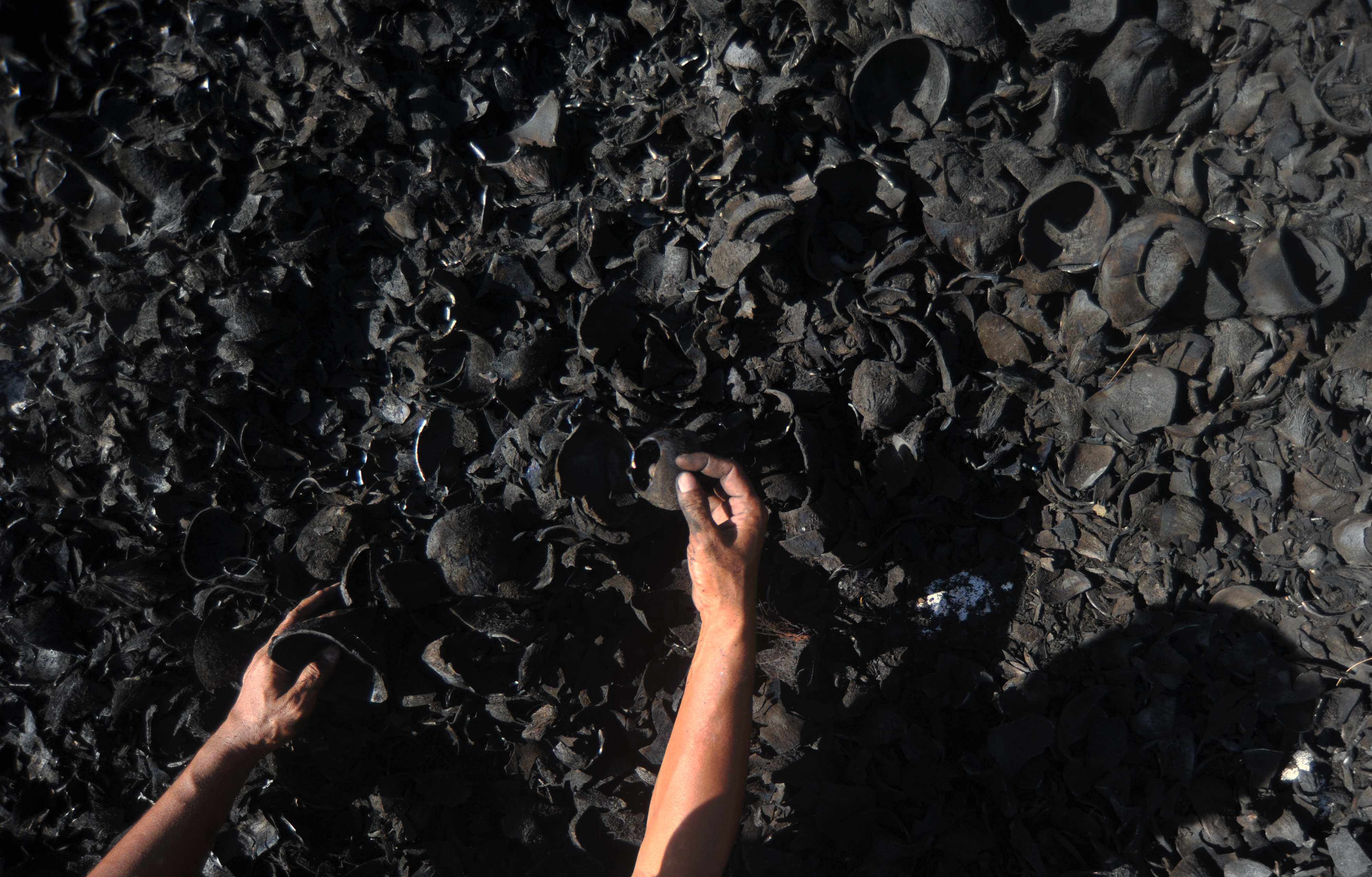 Pengolahan tempurung kelapa menjadi briket menyasar pasar ekspor.