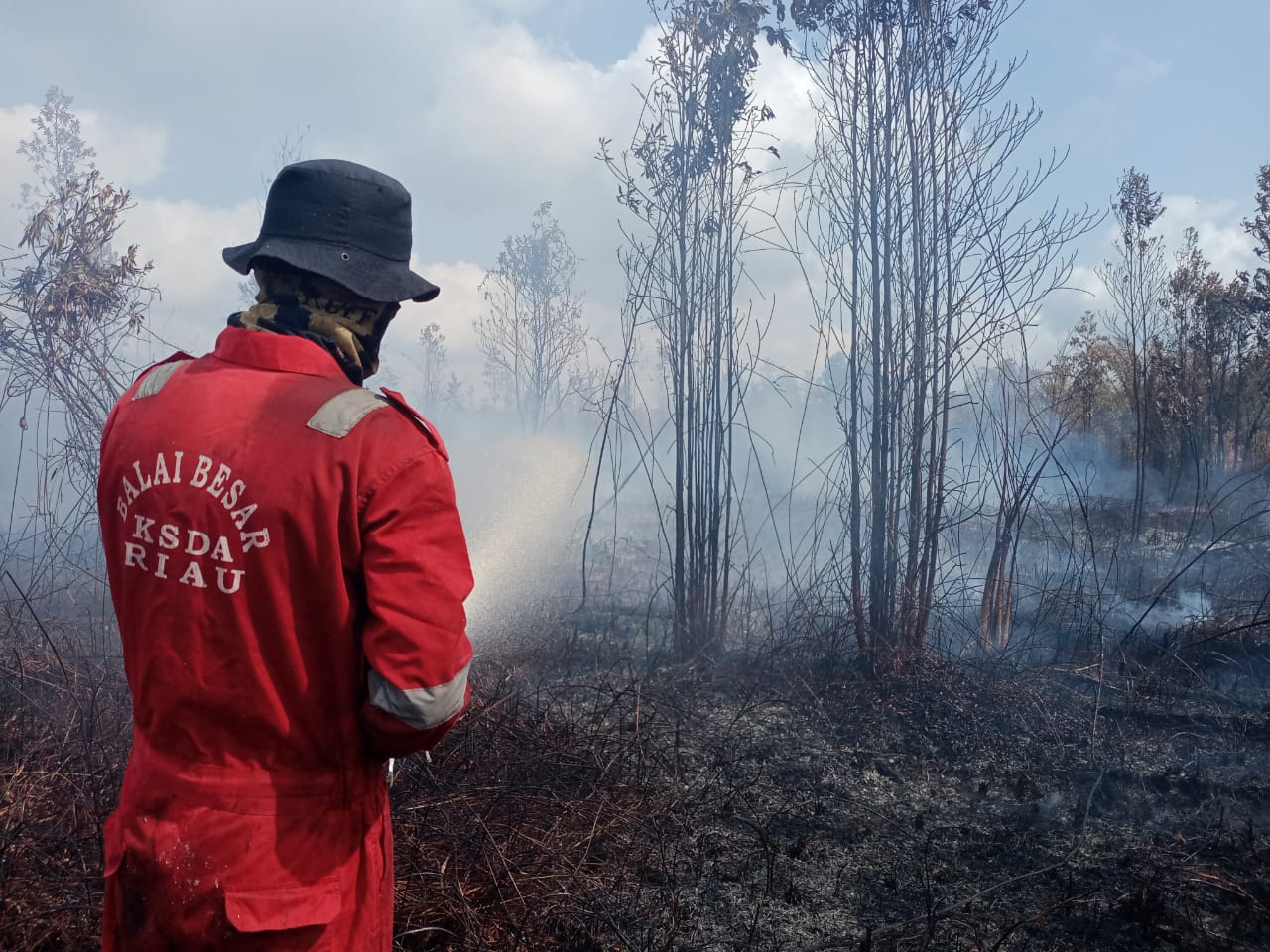 Petugas  BKSDA Riau memadamkan kawasan hutan rawa gambut suaka margasatwa (SM) Giam Siak Kecil (GSK) di Bengkalis.