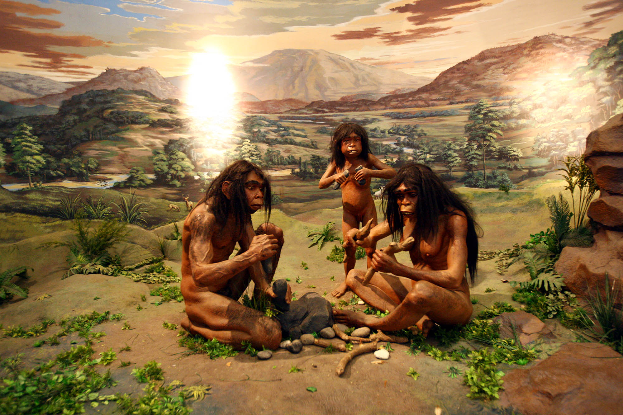 Ilustrasi: Homo Erectus