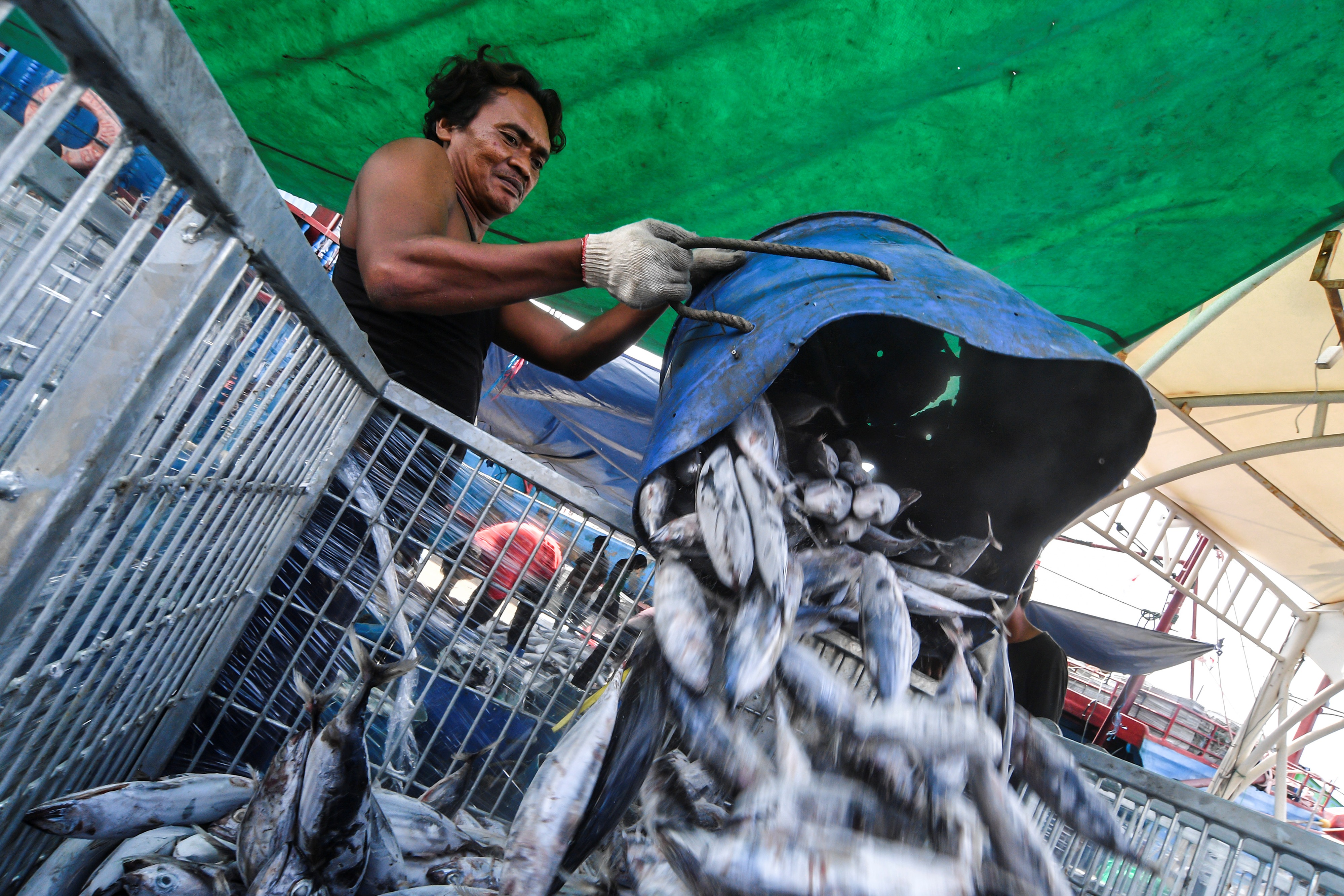 Nelayan melakukan bongkar muat ikan di Pelabuhan Muara Baru, Jakarta, beberapa waktu lalu.