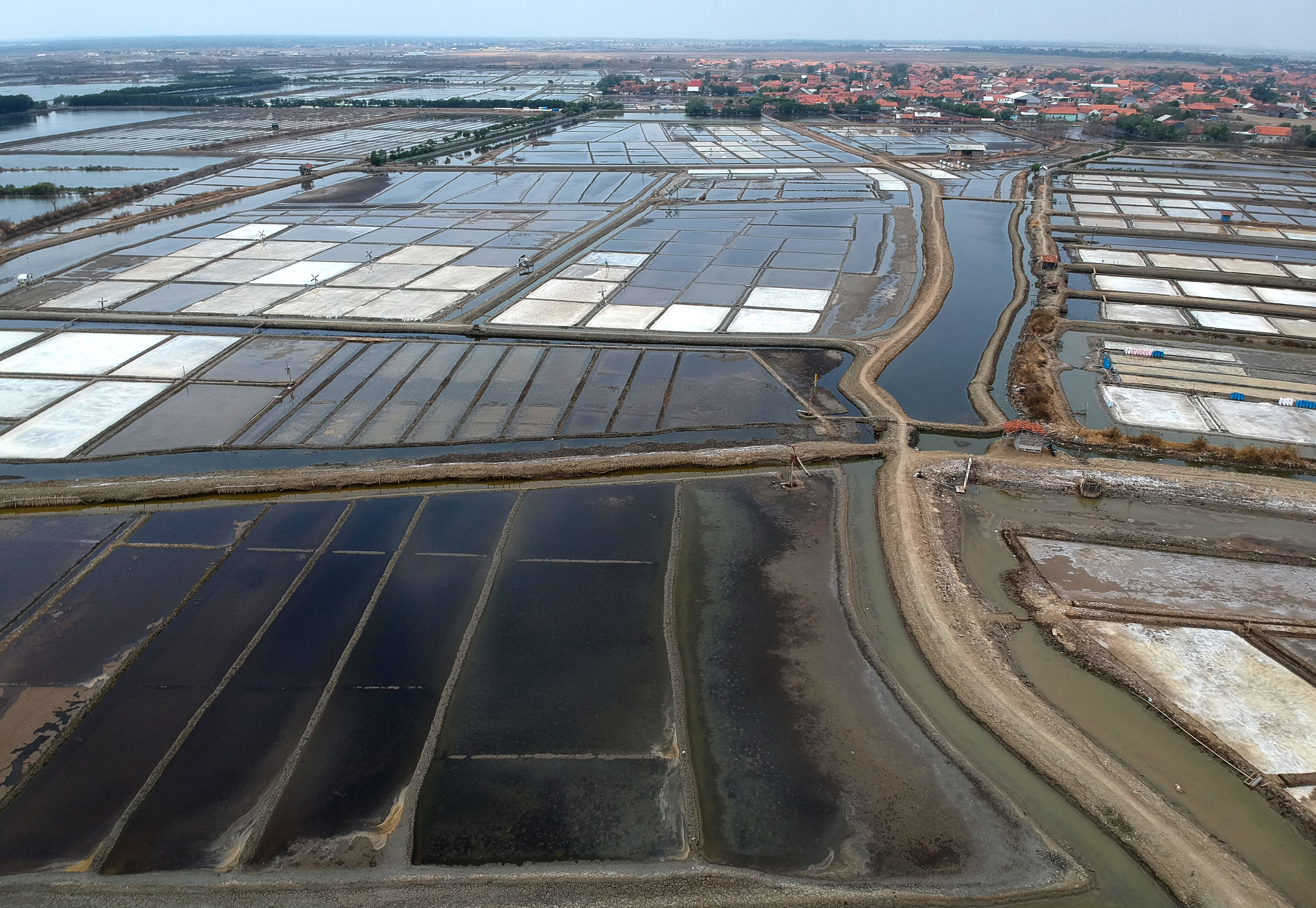 Pemerintah siap impor garam