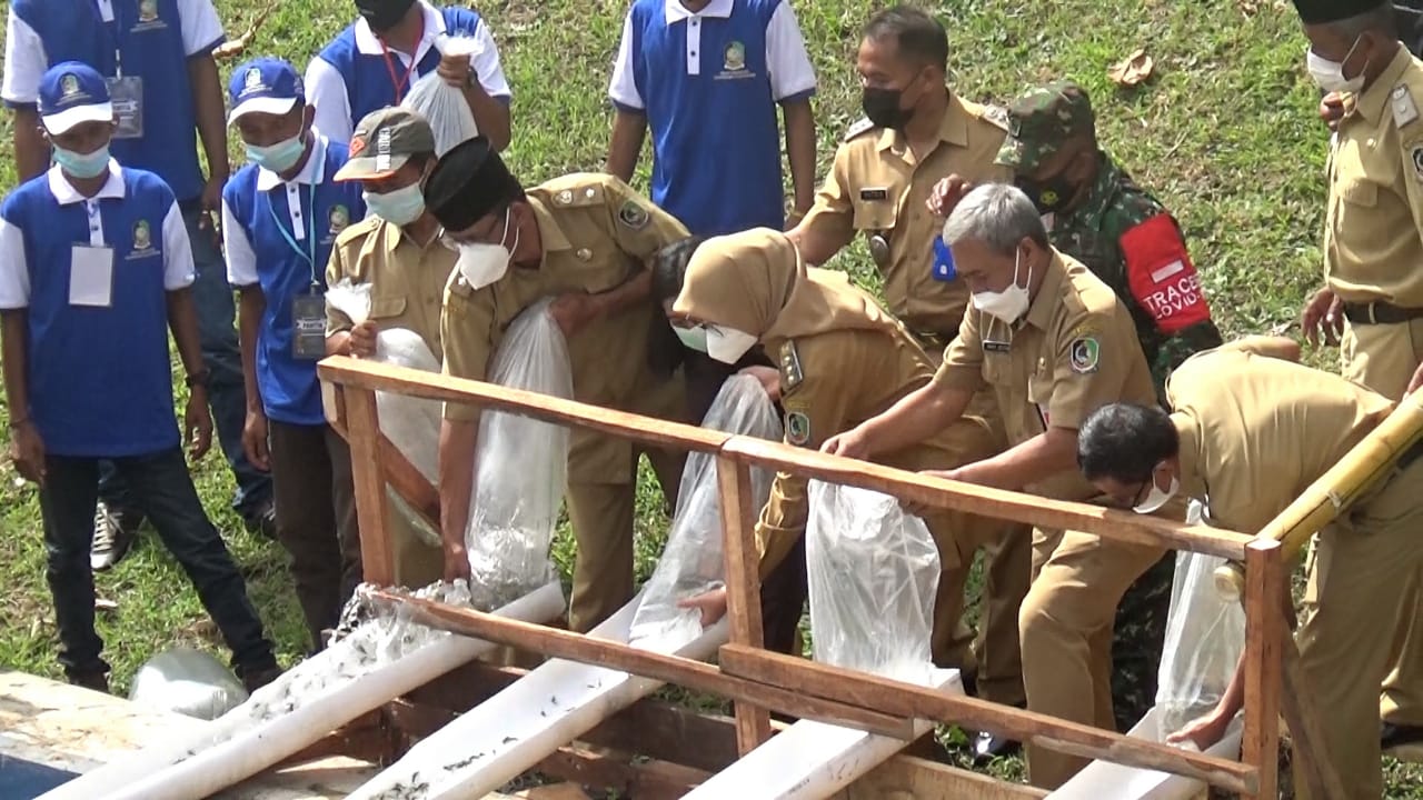 Festival Susur Sungai, Kampanye Peduli Lingkungan Sungai 