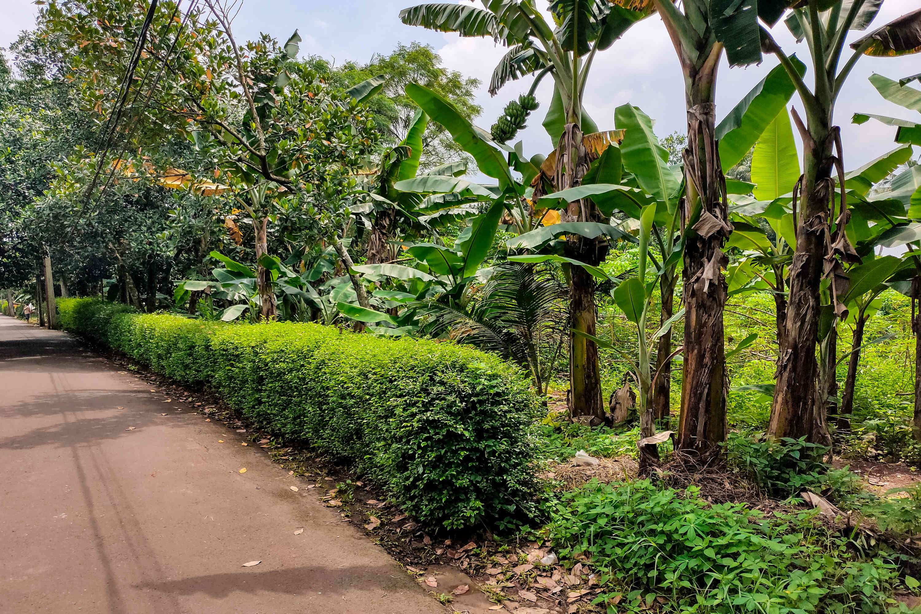 Tampak lahan di RT 05/RW 05 Kelurahan Pondok Ranggon yang dikabarkan jadi lokasi pembangunan DP Rp 0, Jakarta Timur. 
