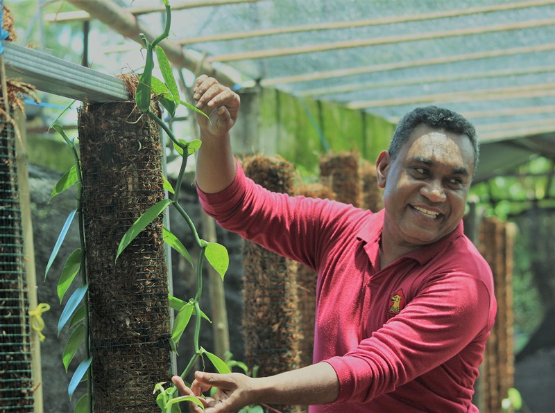 Di Rumah Saja, Anggota Dewan di Sikka Budidaya Vanili