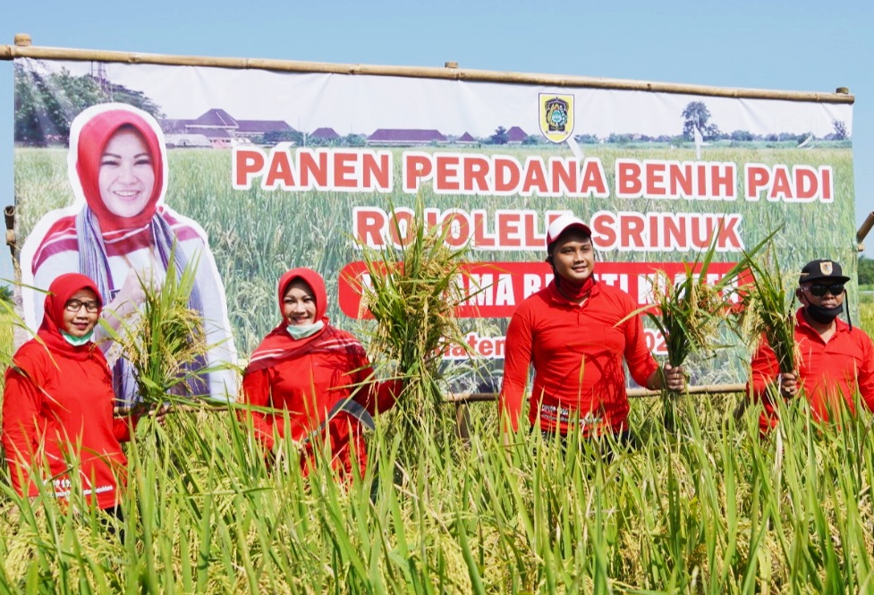 Bupati Klaten Akan Wajibkan ASN Beli Beras Petani 