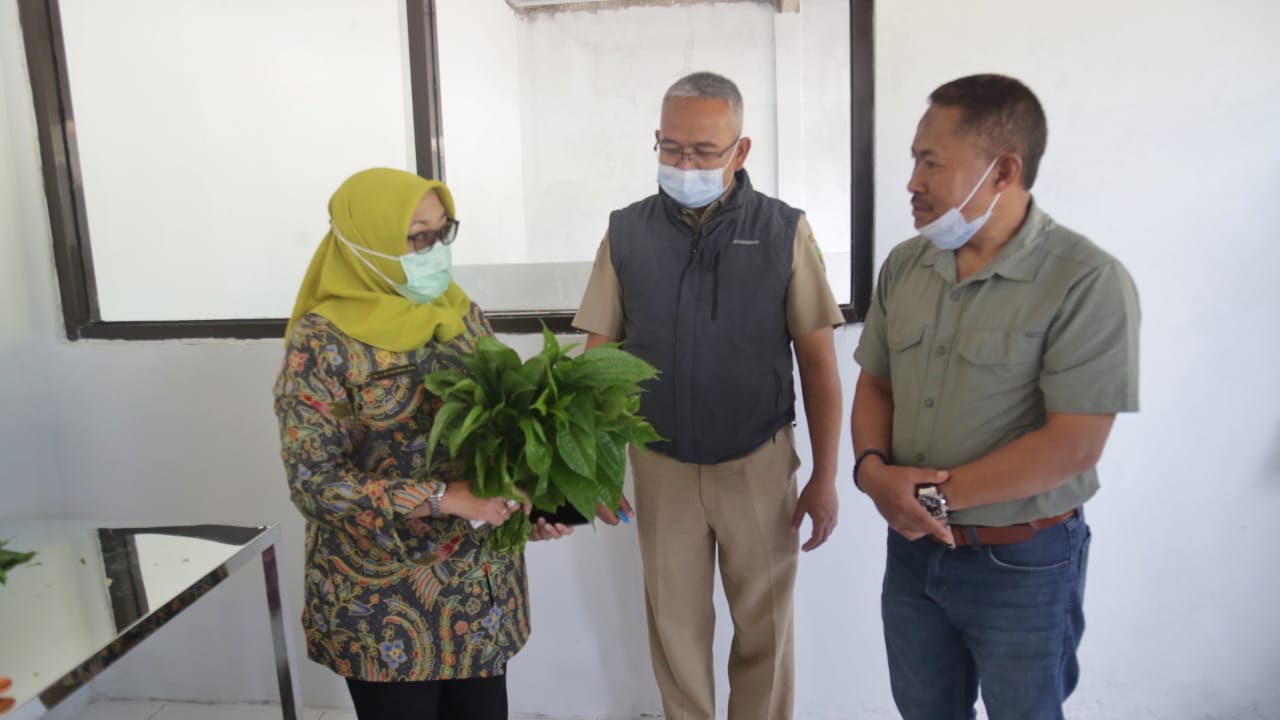 P4S Rahayu Tani ini fokus mengembangkan hilirisasi pertanian dalam platform bisnisnya. 