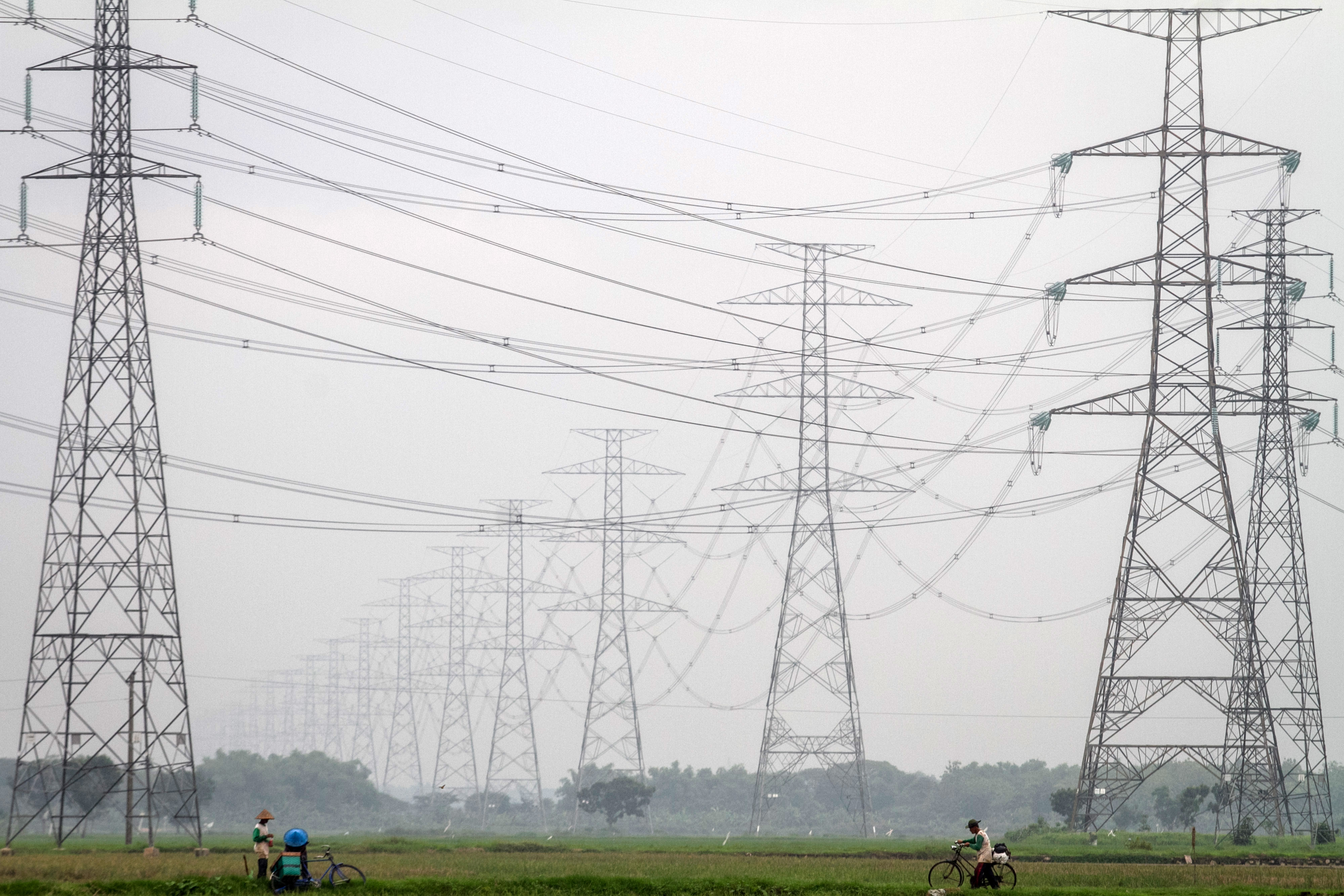 Petani beraktivitas di sawah dengan latar belakang tower listrik di wilayah Sukoharjo, Jawa Tengah.