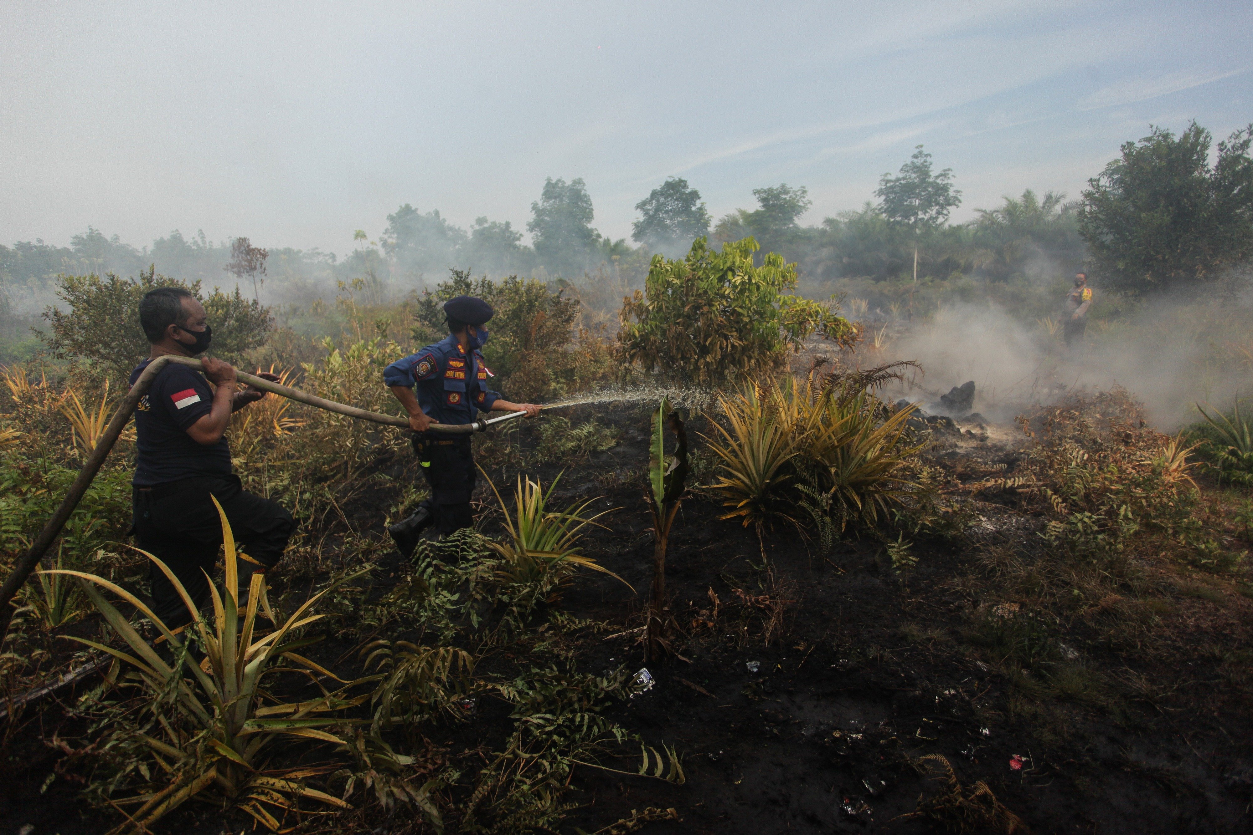 Petugas pemadam kebakaran melakukan proses pembasahan lahan gambut yang terbakar di Palangkaraya, Kalteng, beberapa waktu lalu.
