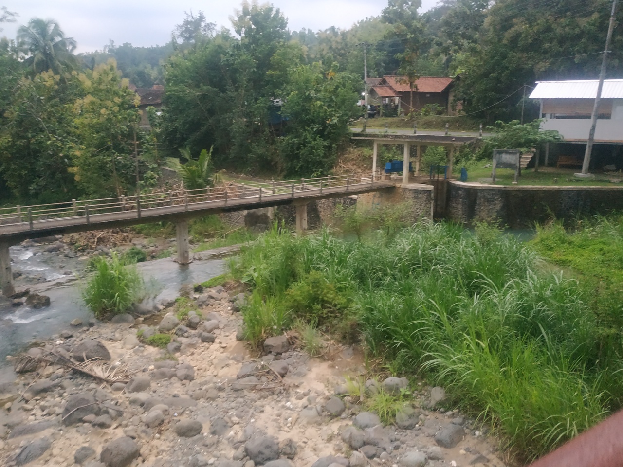 Sedimentasi cukup parah di Bendung Plelen Kulonprogo menyebabkan petani kesulitan air