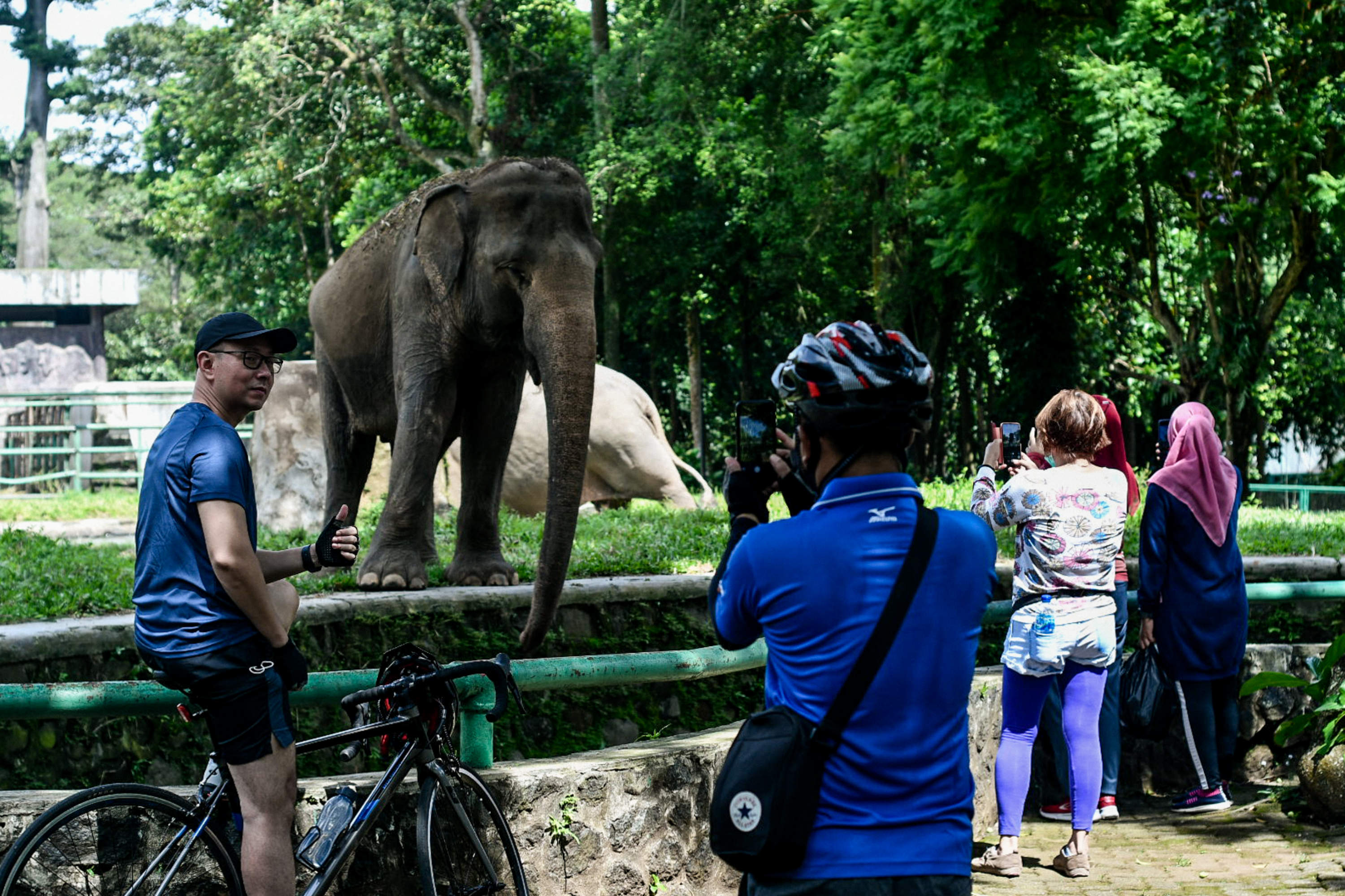 Sejumlah pengunjung mendokumentasikan aktivitas satwa di Taman Margasatwa Ragunan (TMR), Jakarta Selatan, Sabtu (13/3/2021).