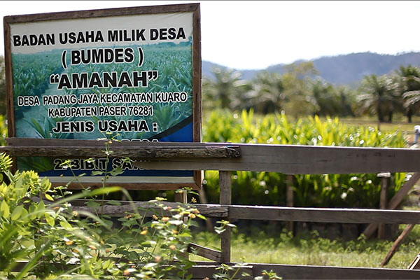 Pemerintah mendorong BUMDes memiliki program-program mendorong keberhasilan SDGs Indonesia. 