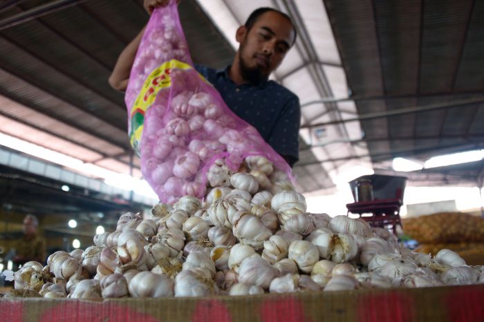 Harga Bawang Putih Seharusnya Tidak Perlu Naik