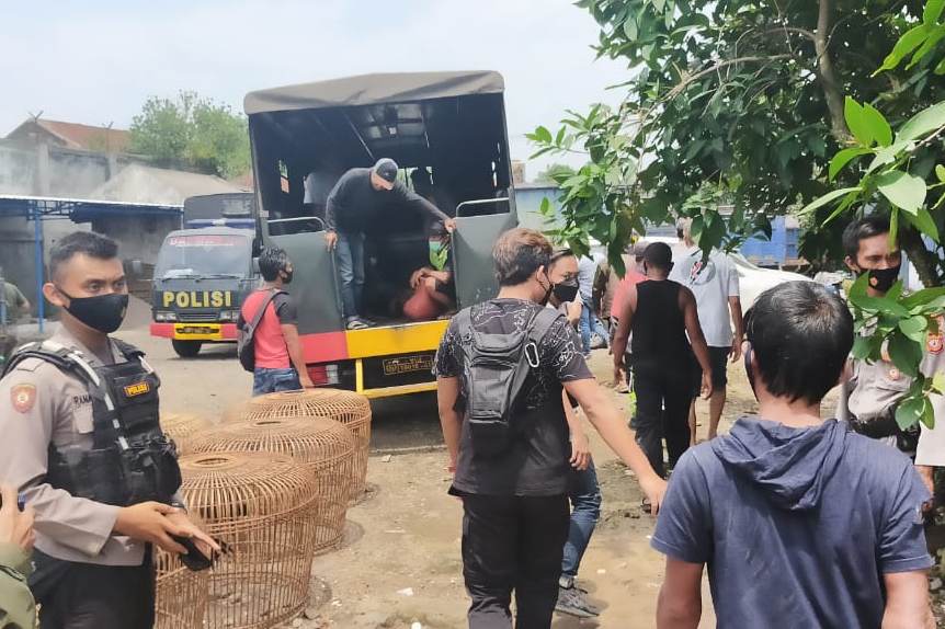 Polisi Gerebek Tempat Judi Sabung Ayam di Tasikmalaya