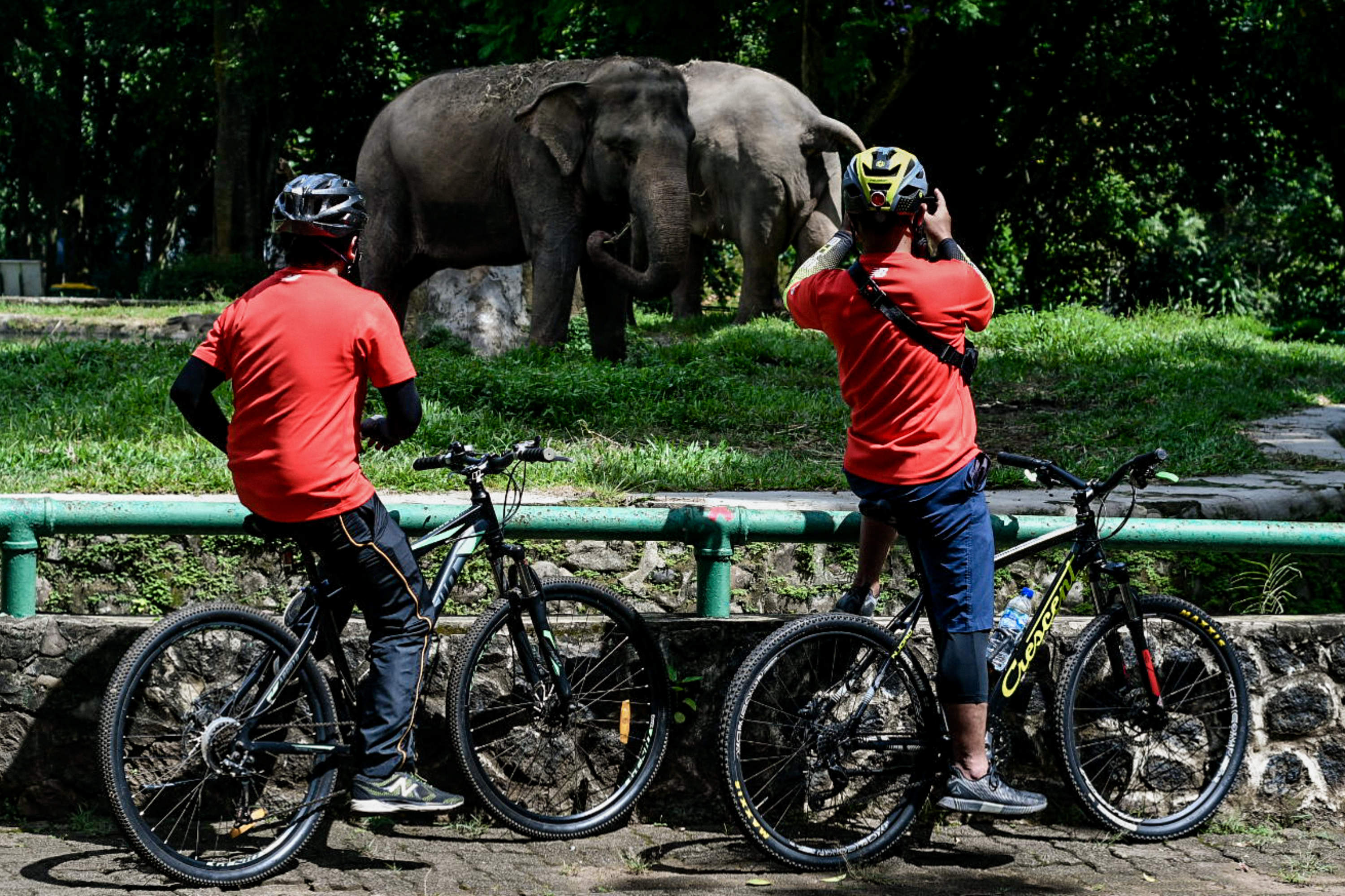 Pengunjung diperbolehkan membawa sepeda ke dalam area Ragunan