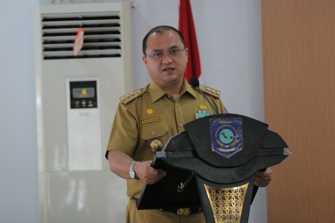 Gubernur Bangka Belitung Erzaldi Rosman Djohan