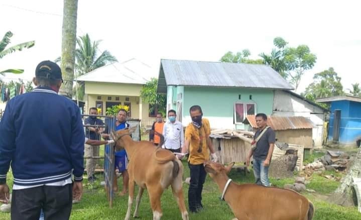 Pemilik sapi membawa ternaknya untuk dapat layanan kesehatan di  Kabupaten Bone Bolango (Bonebol), Gorontalo. 