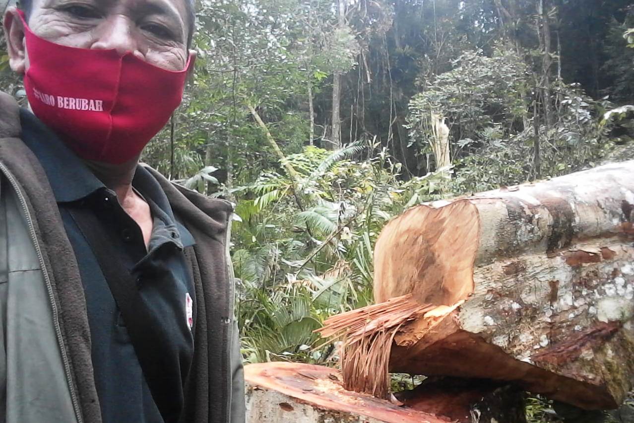 Aron Merga Si Lima Desak Pemkab Karo Tindak Tegas Pelaku Perambahan Hutan.