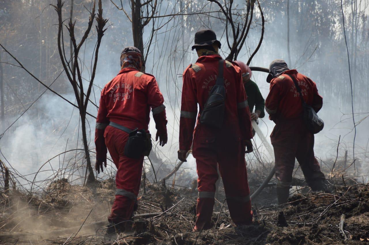 Petugas BKSDA Riau memadamkan karhutla di  kawasan hutan rawa gambut suaka margasatwa Giam Siak Kecil di Bengkalis, Riau.