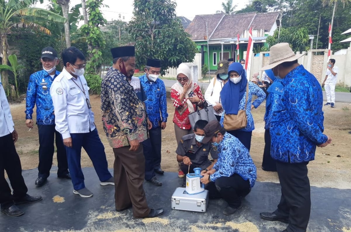 Tim GSGP bersama Perum Bulog dan Perpadi siap menyerap gabah dan beras dari petani di Provinsi Lampung.