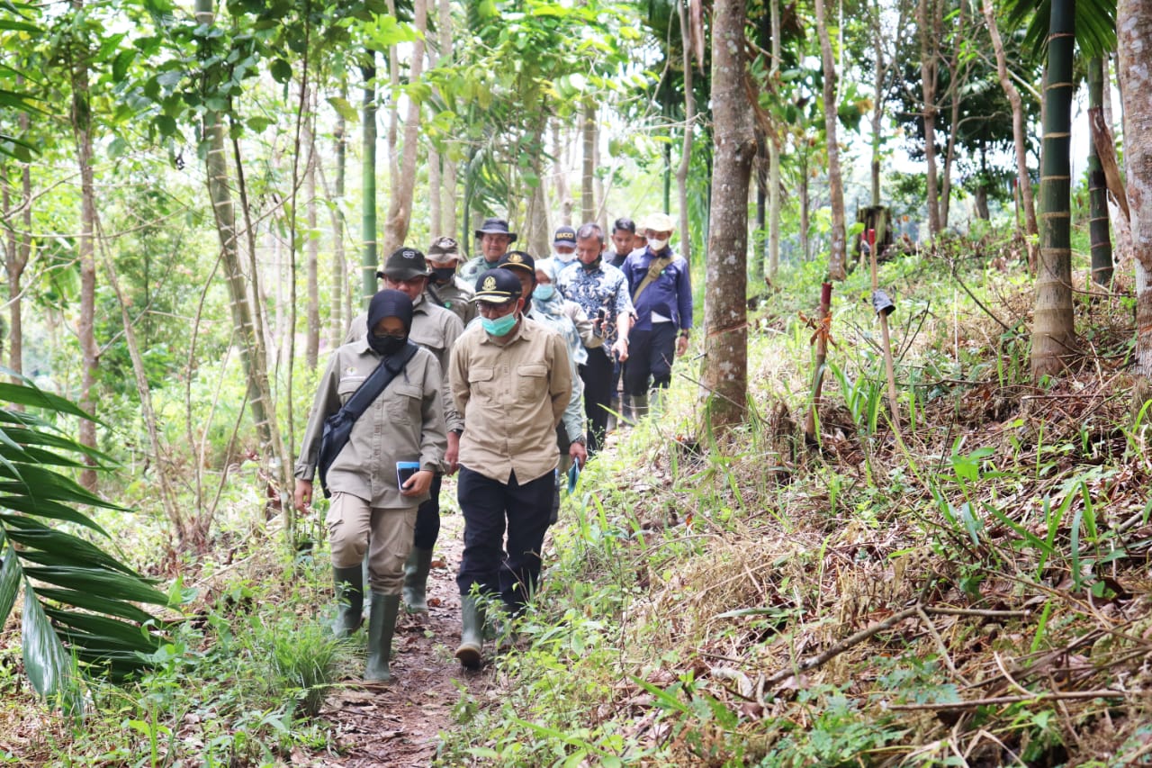 Kegiatan rehabilitasi hutan dan lahan (RHL) dilaksanakan oleh BPDASHL Indragiri Rokan, Riau.