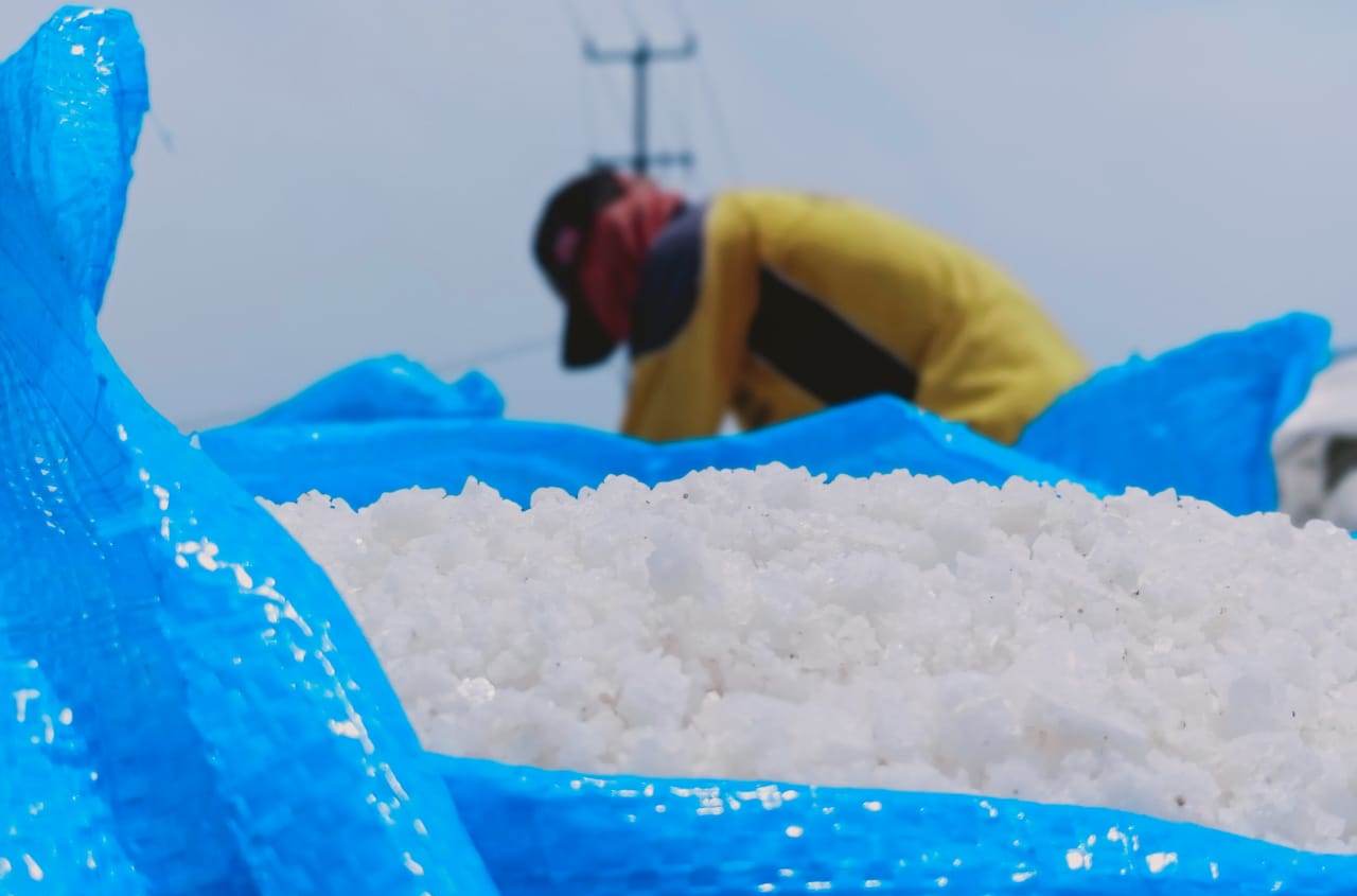 Ilustrasi petambak garam