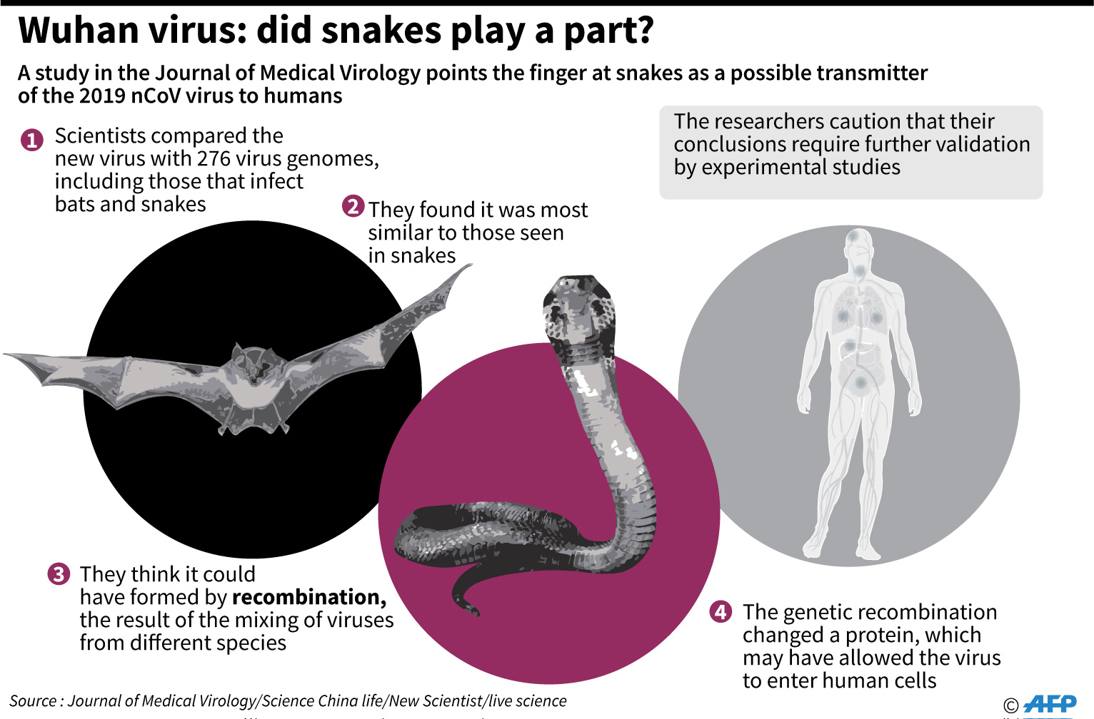 Draf Laporan WHO: Hewan Diduga Jadi Sumber Covid-19