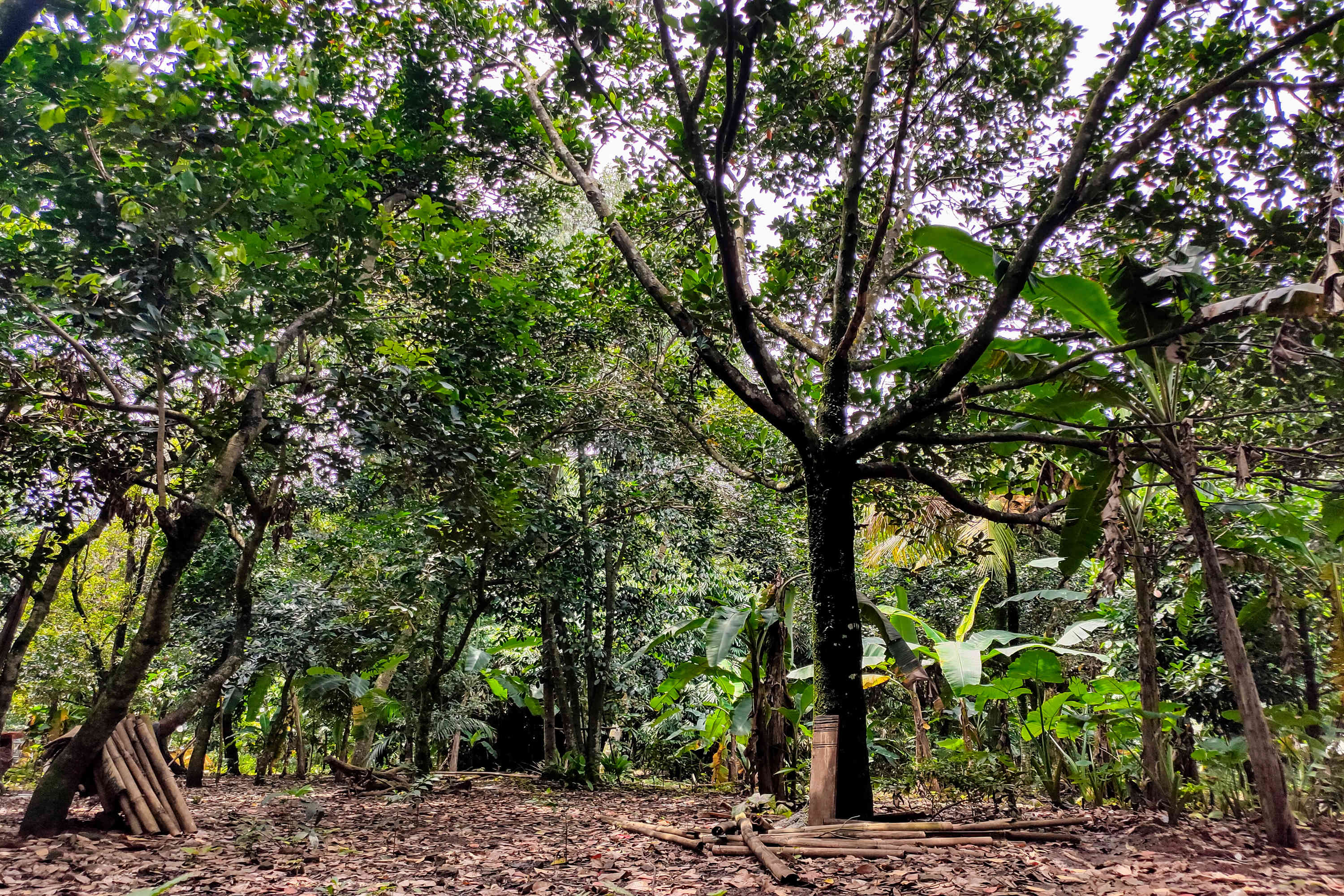 Tampak lahan di RT 05/RW 05 Kelurahan Pondok Ranggon yang dikabarkan jadi lokasi pembangunan DP Rp 0, Jakarta Timur.