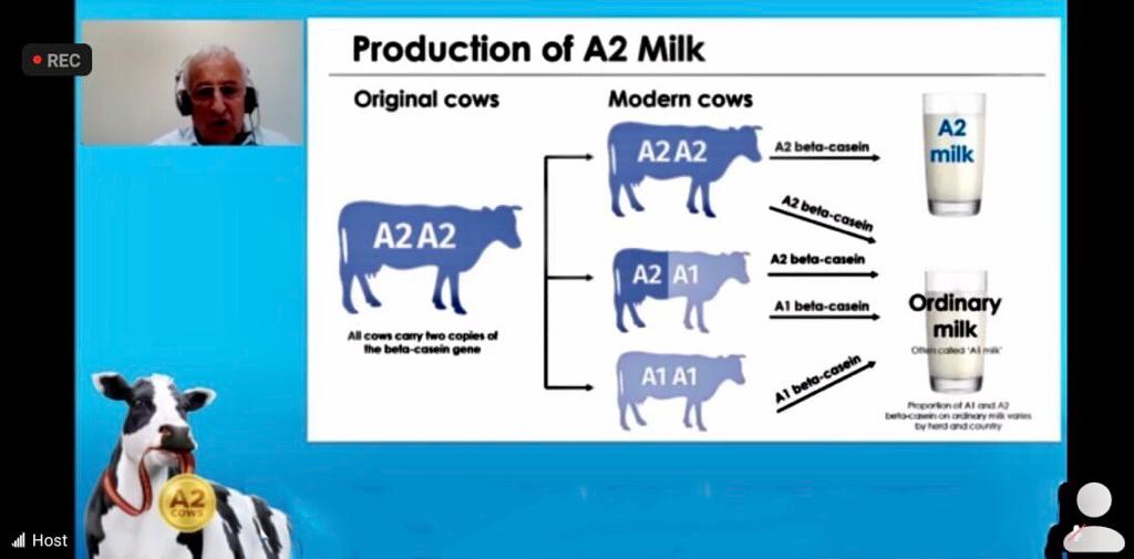 Profesor Keith Woodford menjelaskan bagaimana mutasi genetik pada sapi mempengaruhi susu yang dihasilkan.